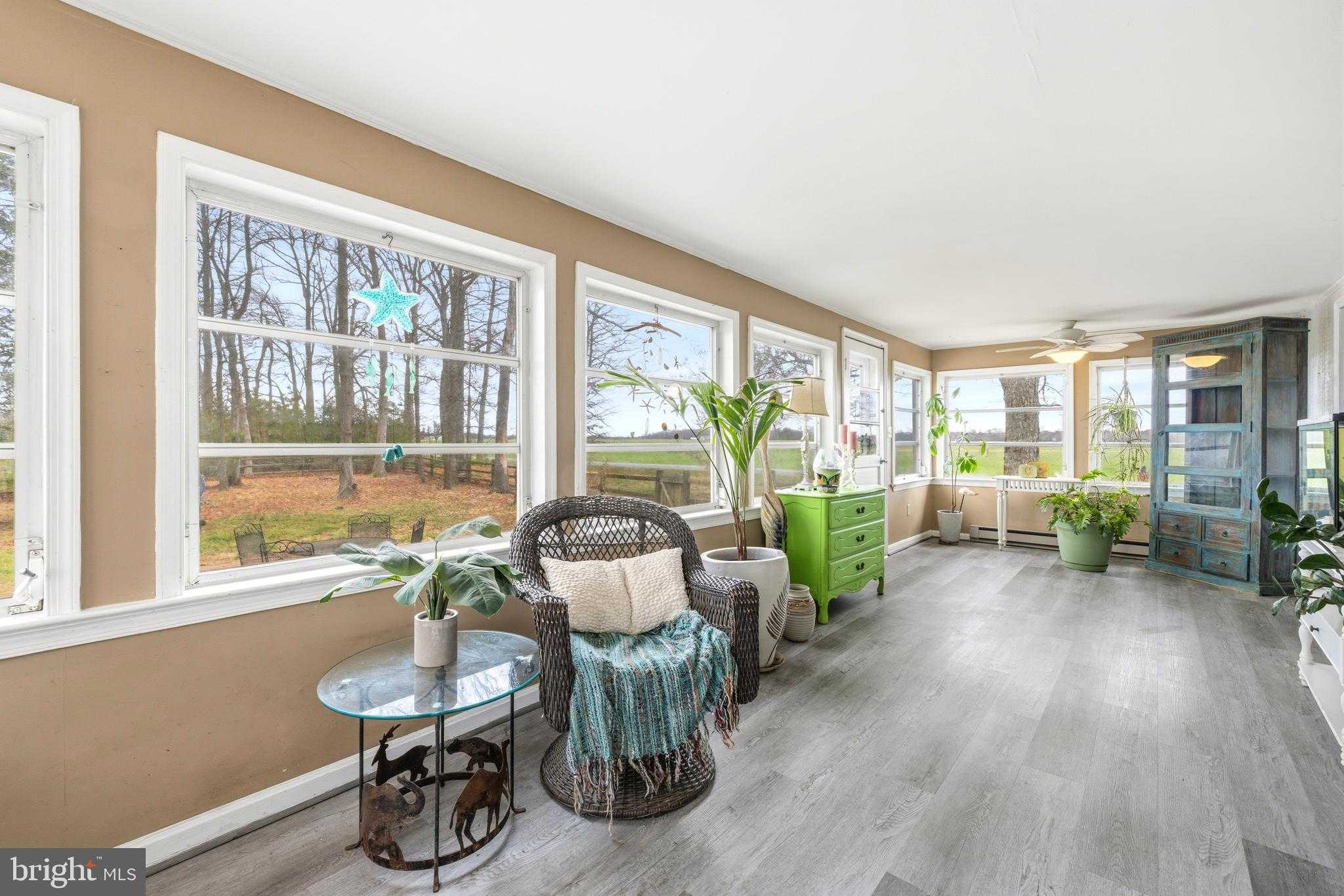 6446 Suicide Bridge Rd photo 18