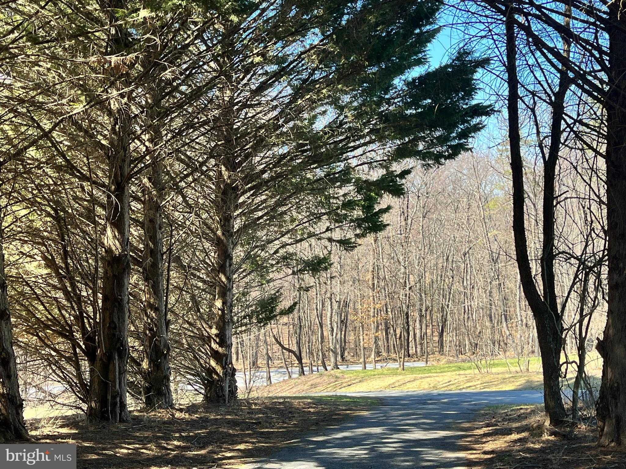 4407 Bill Moxley Rd photo 5