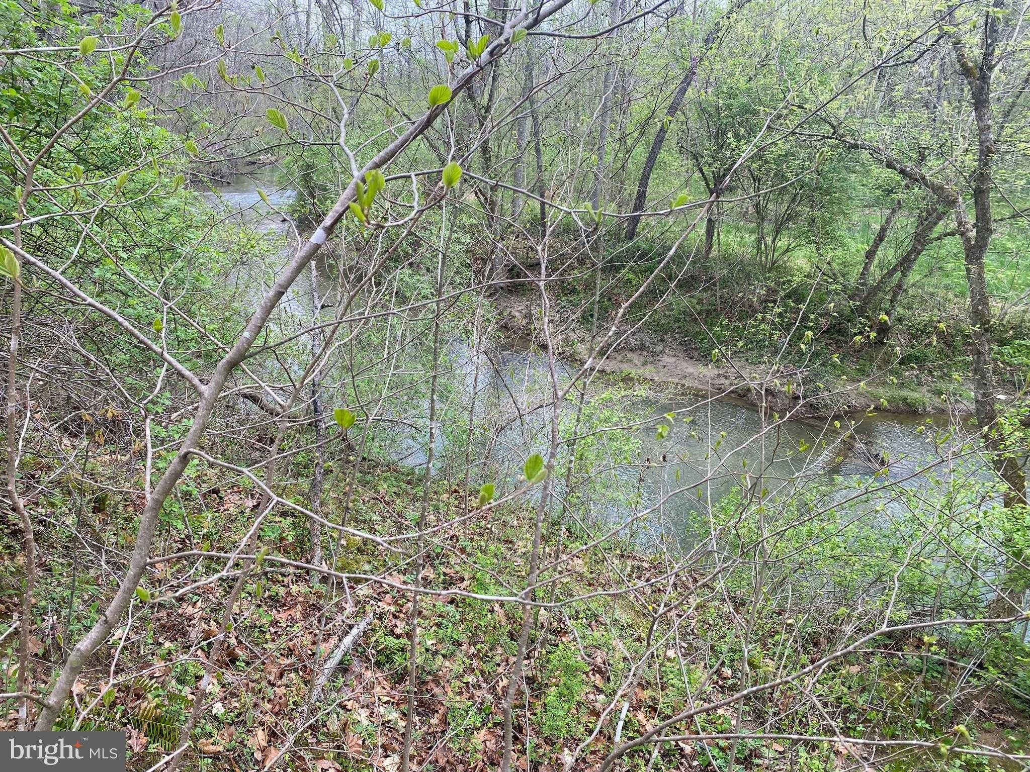 Specks Run Rd photo 9