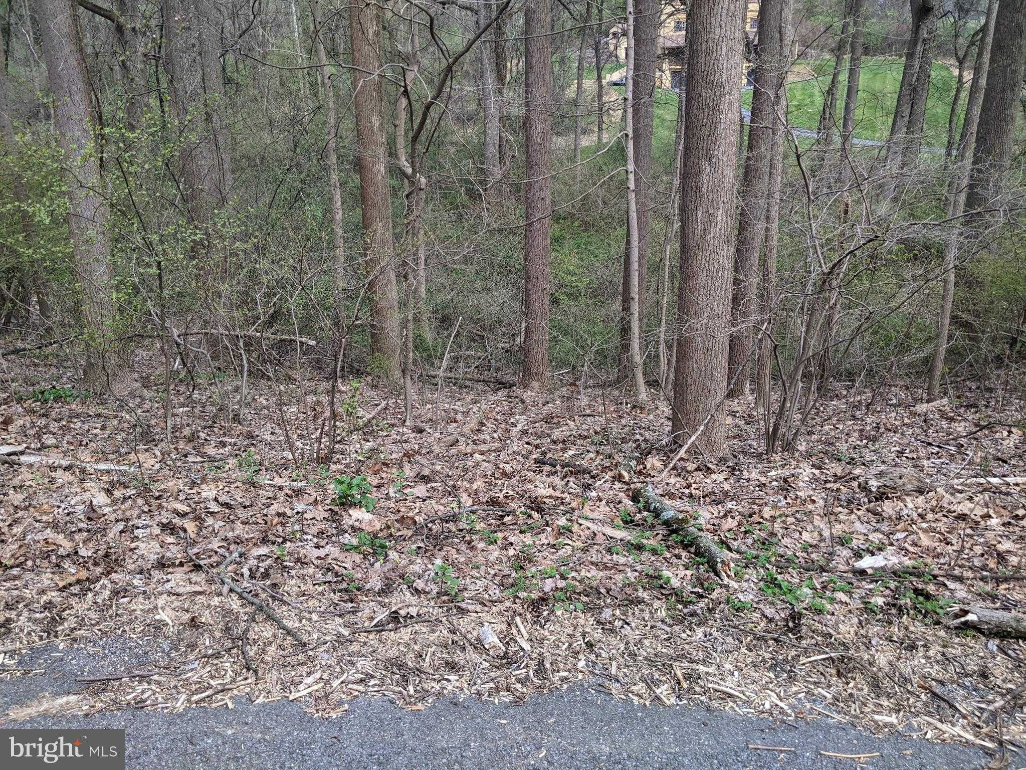 Yellow Springs Rd photo 24