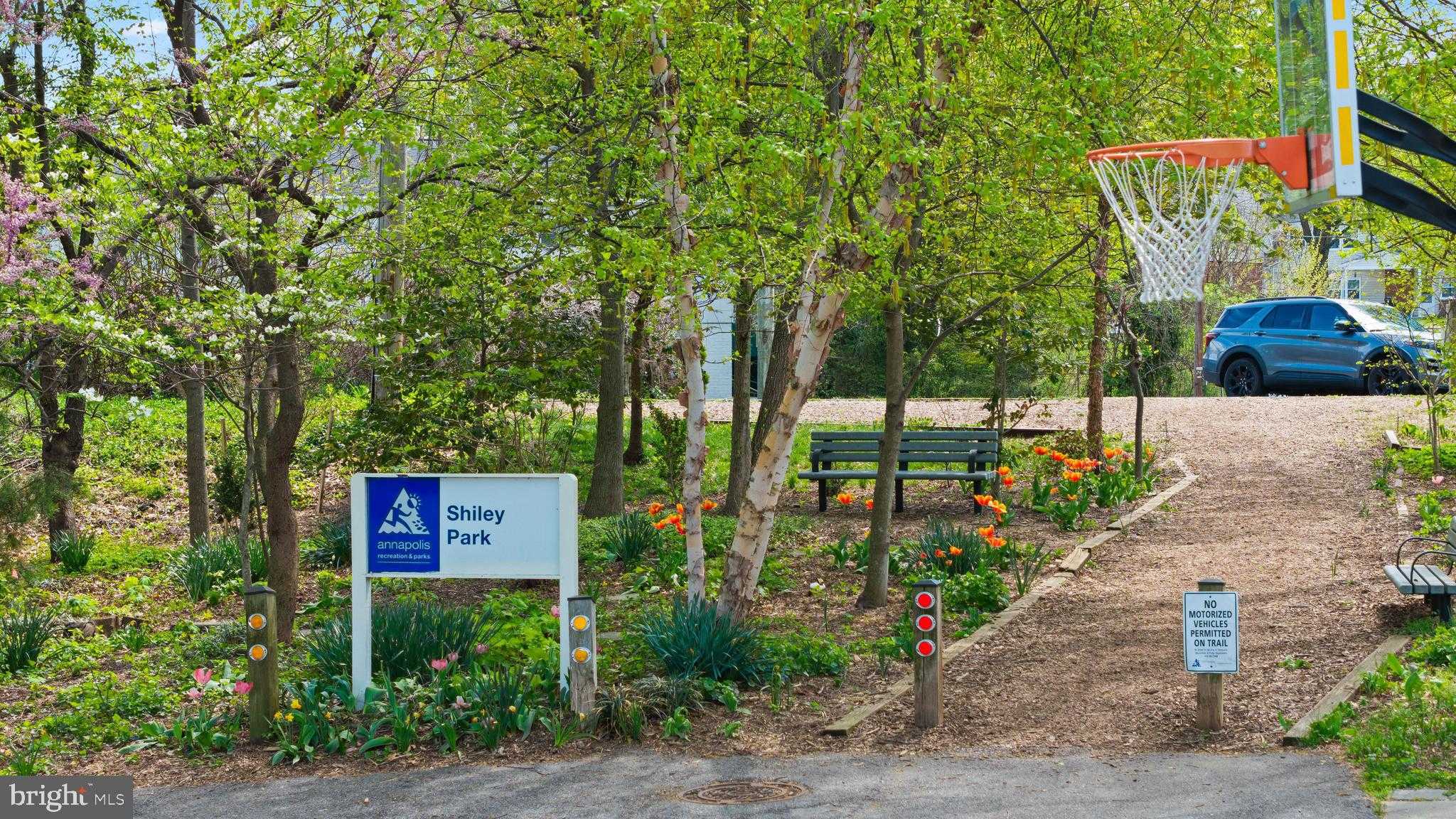 4 Shiley St photo 11