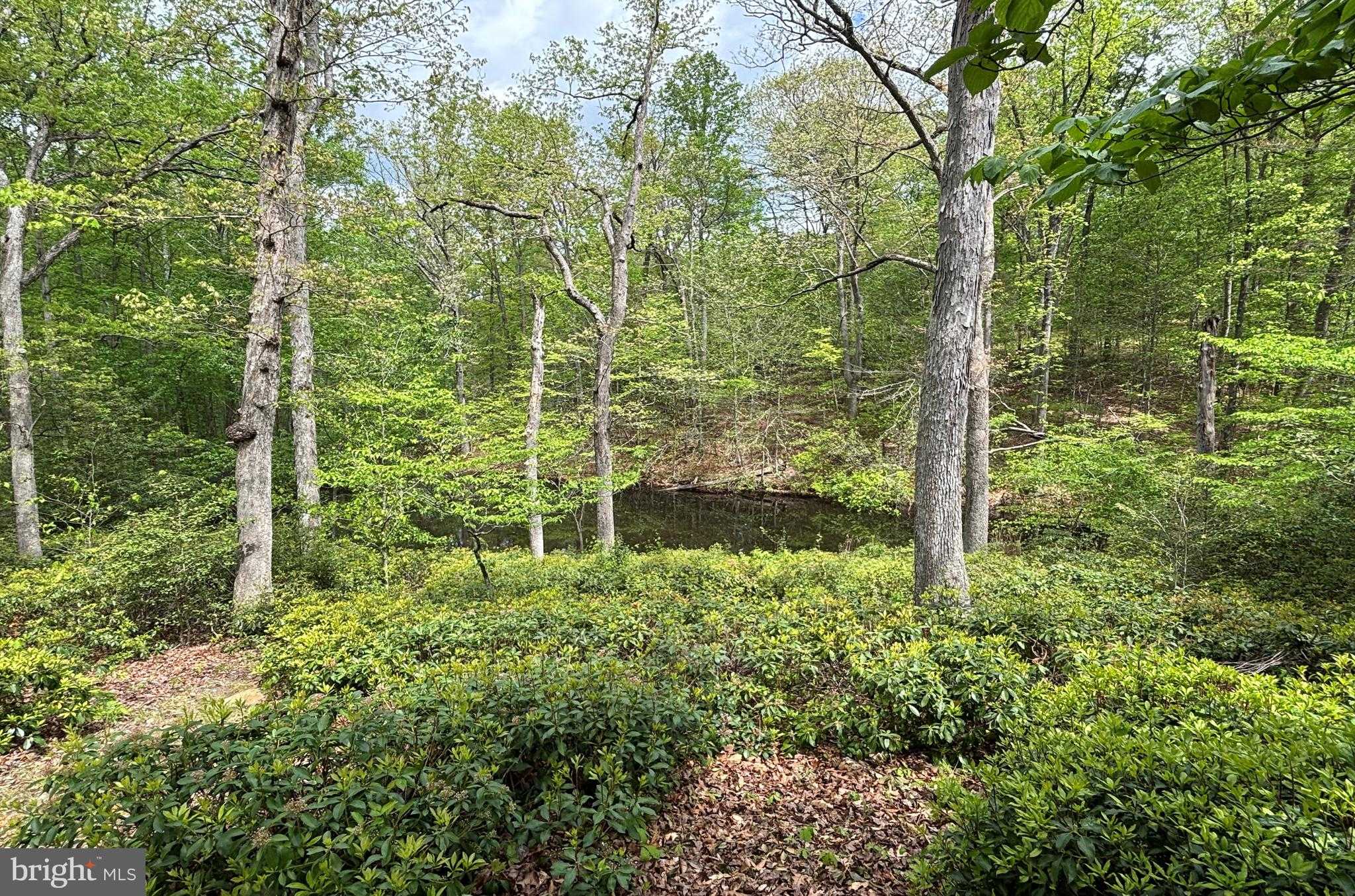 10611 Allenwood Ln photo 61