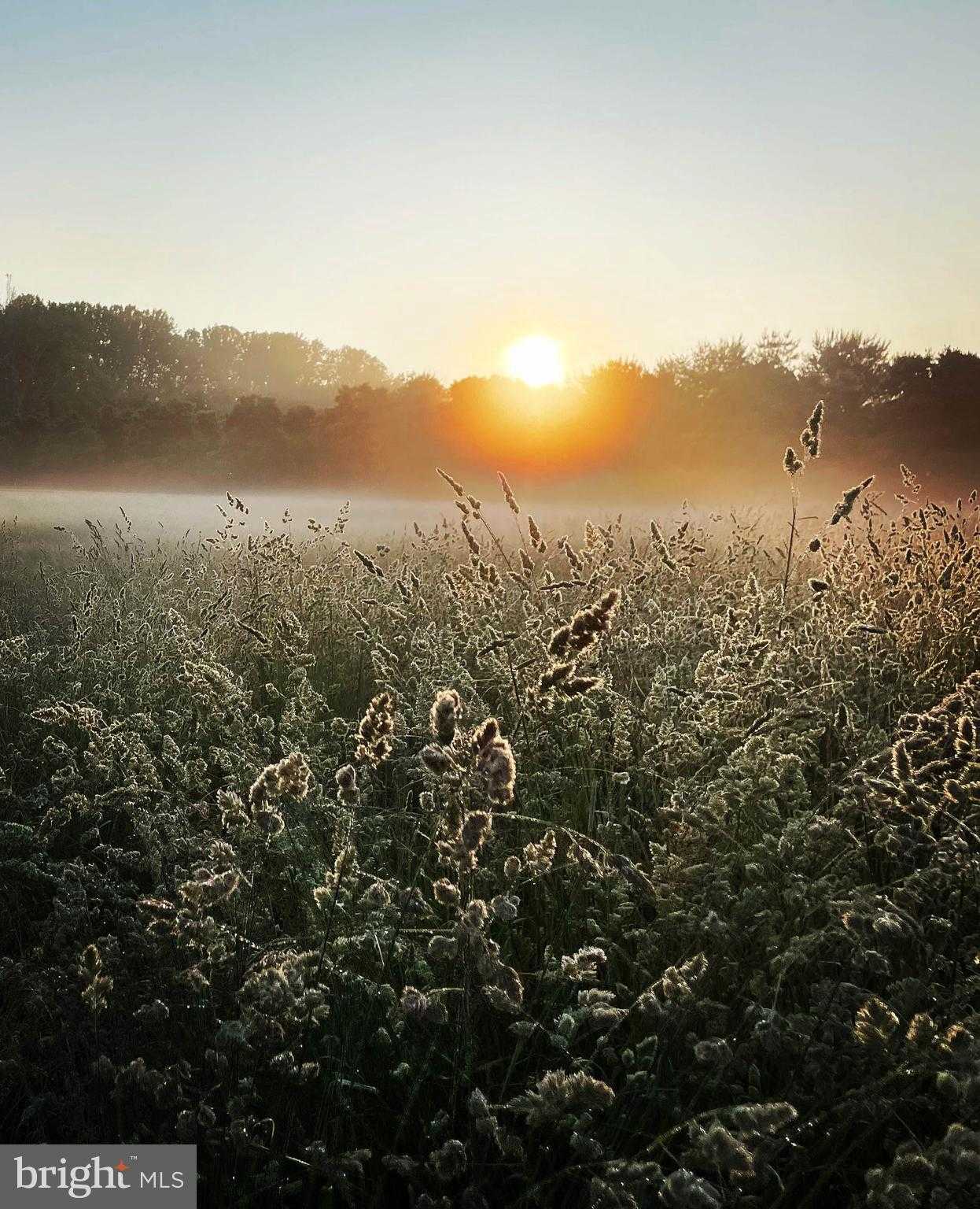 1730 Western Run Rd photo 11