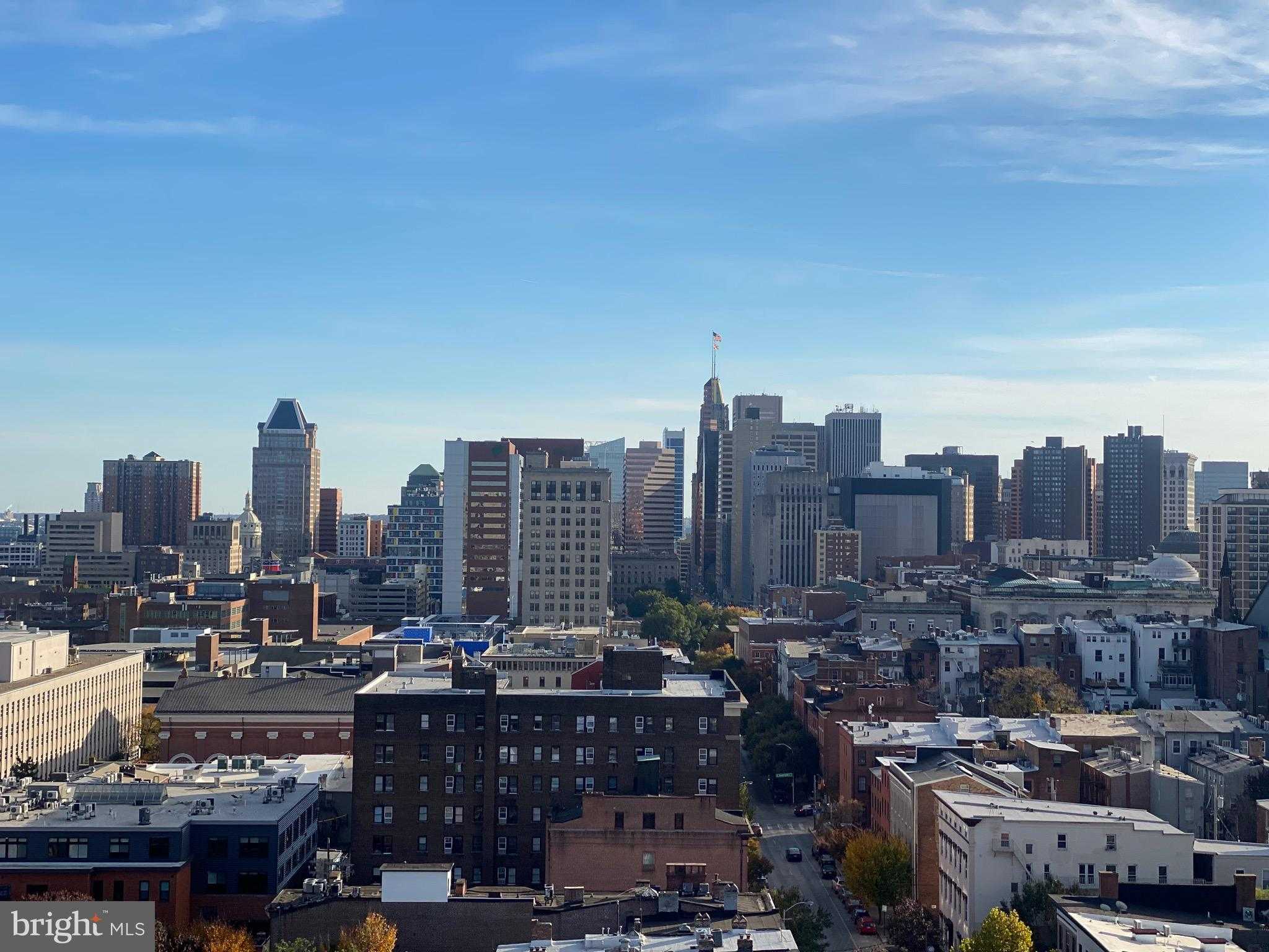 1001 Saint Paul St Apt 5h photo 10