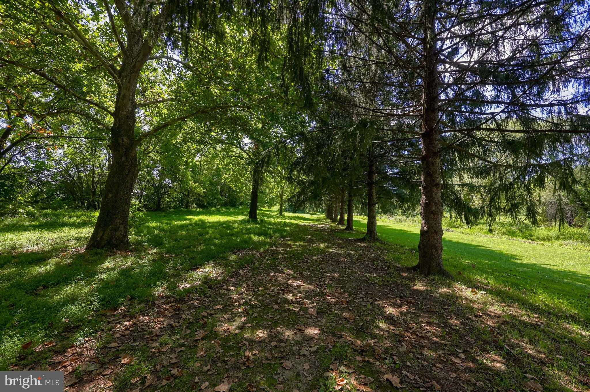 914 Meadowbreeze Ln photo 19