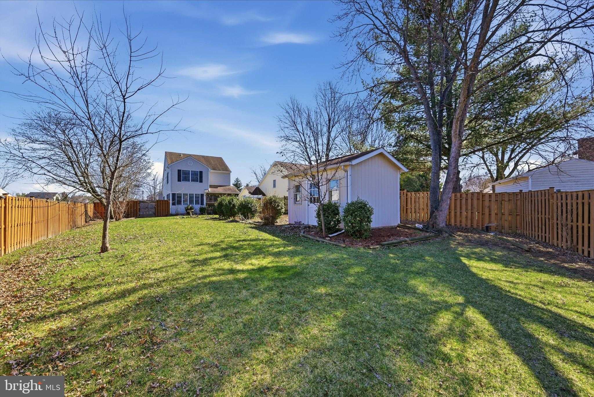 100 Karakul CT photo 2