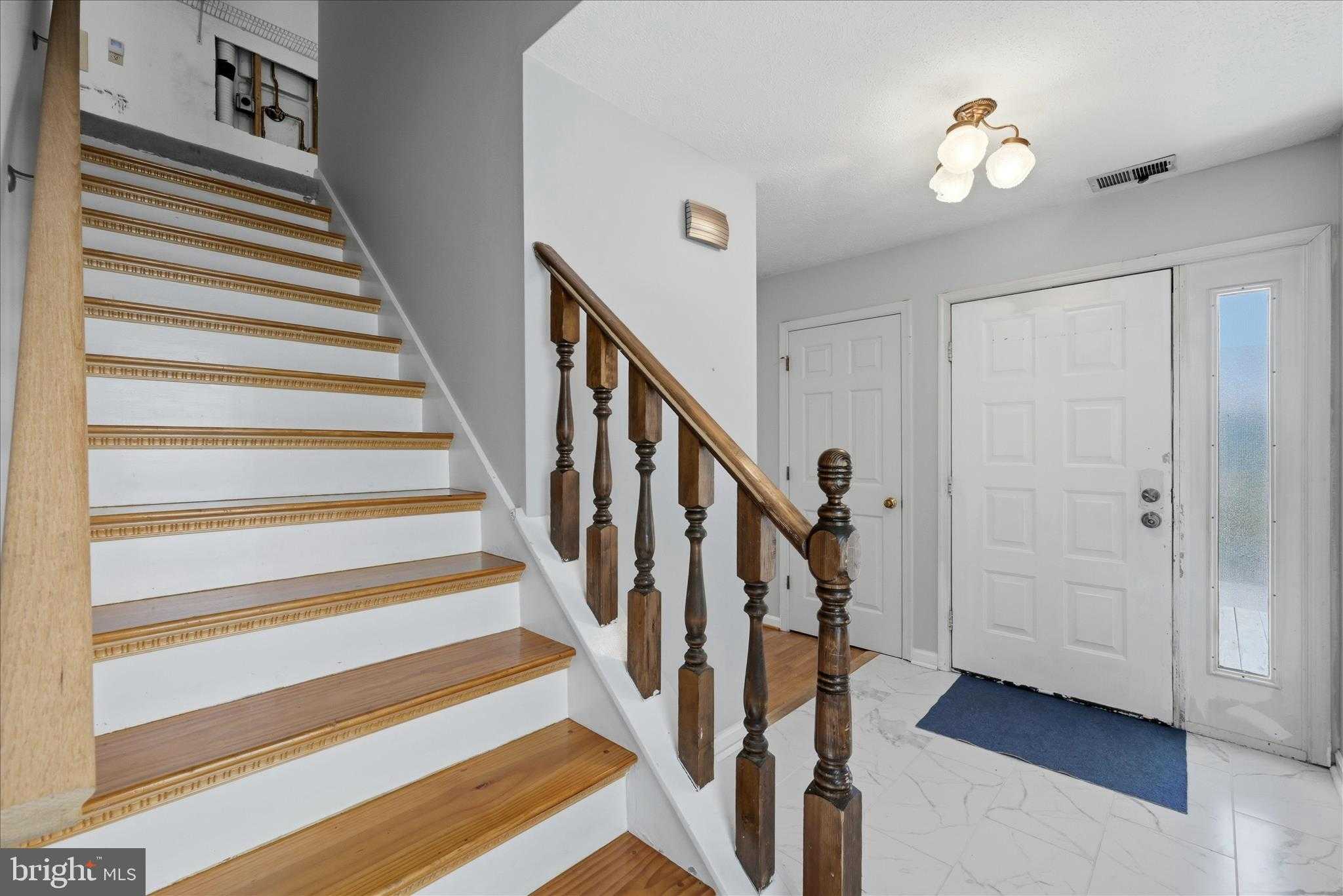 100 Karakul CT photo 21