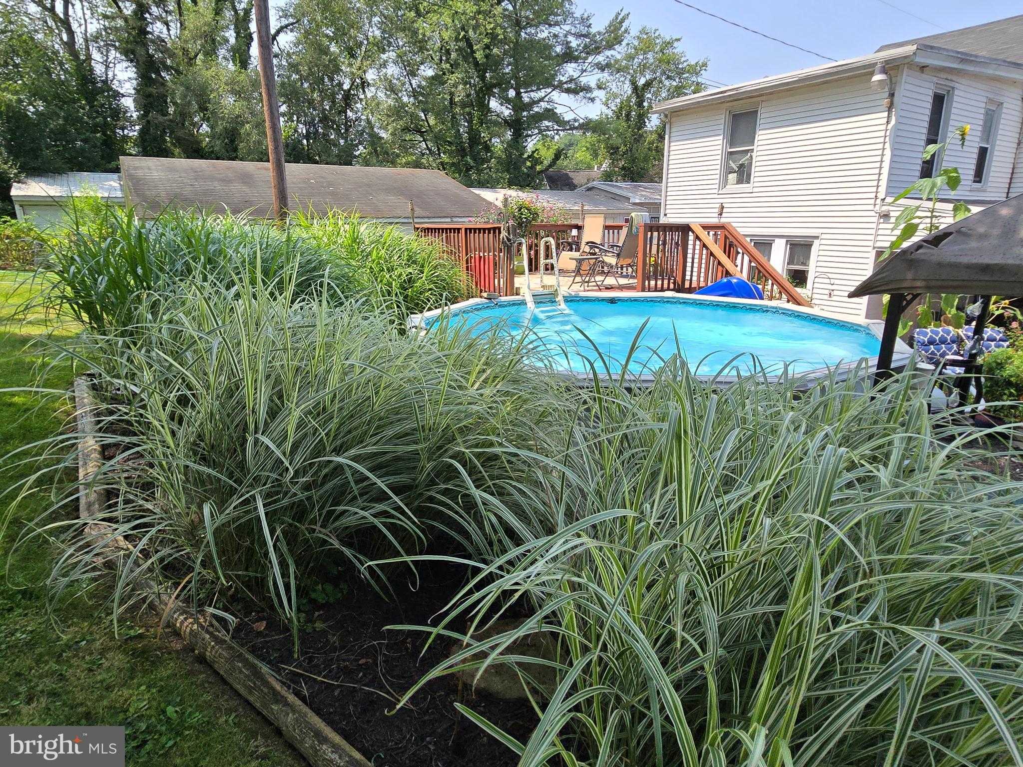 846 Bunting St photo 38