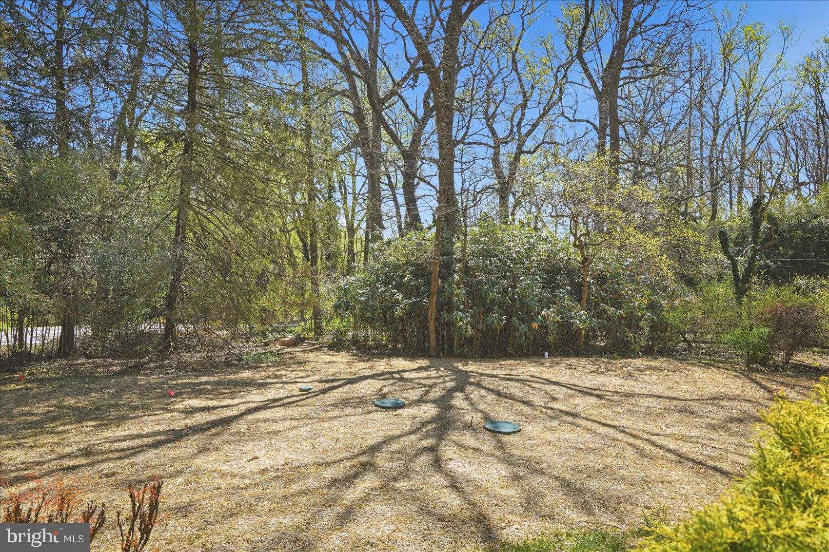 10634 Park Heights Ave photo 51