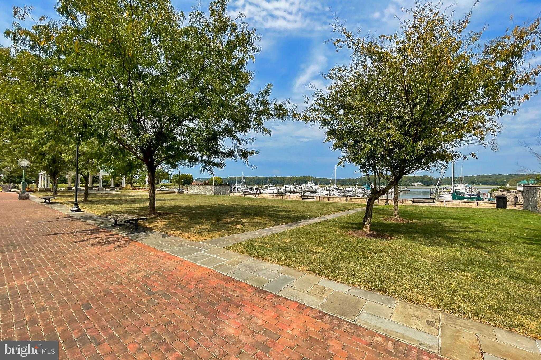 440 Belmont Bay Dr Unit 305 photo 55