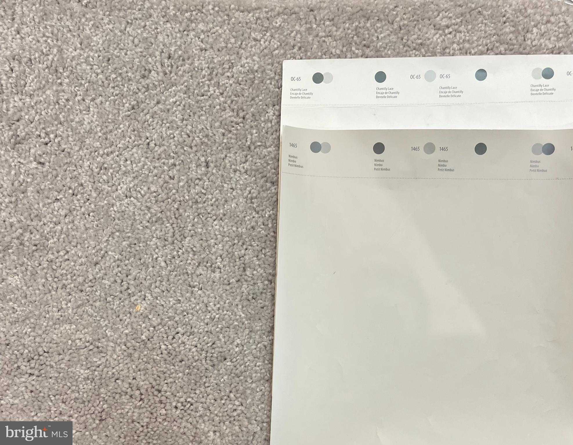 120 Blue Mountain Blvd photo 32