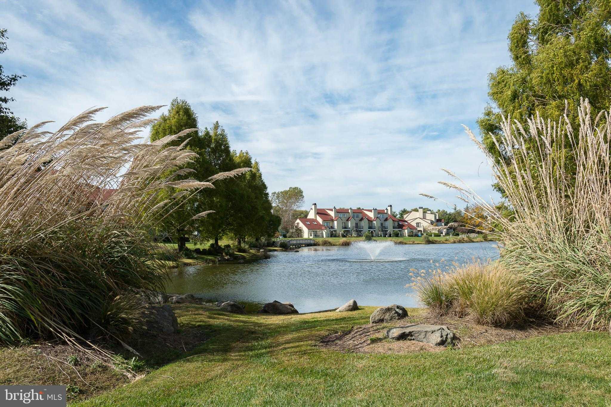 27 Queen Mary CT # F photo 34