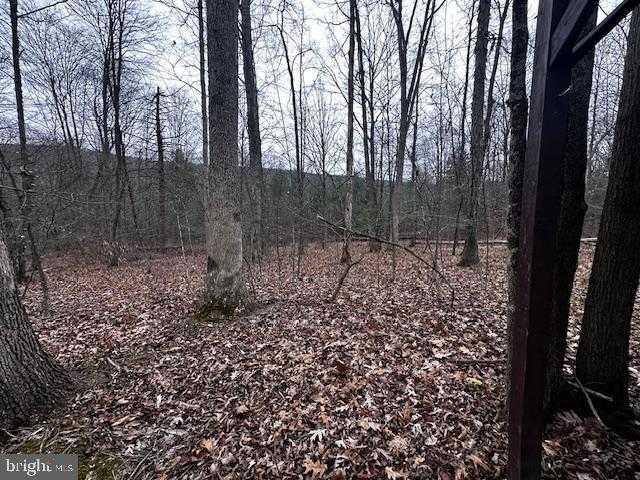 4998 Black Log Rd photo 23