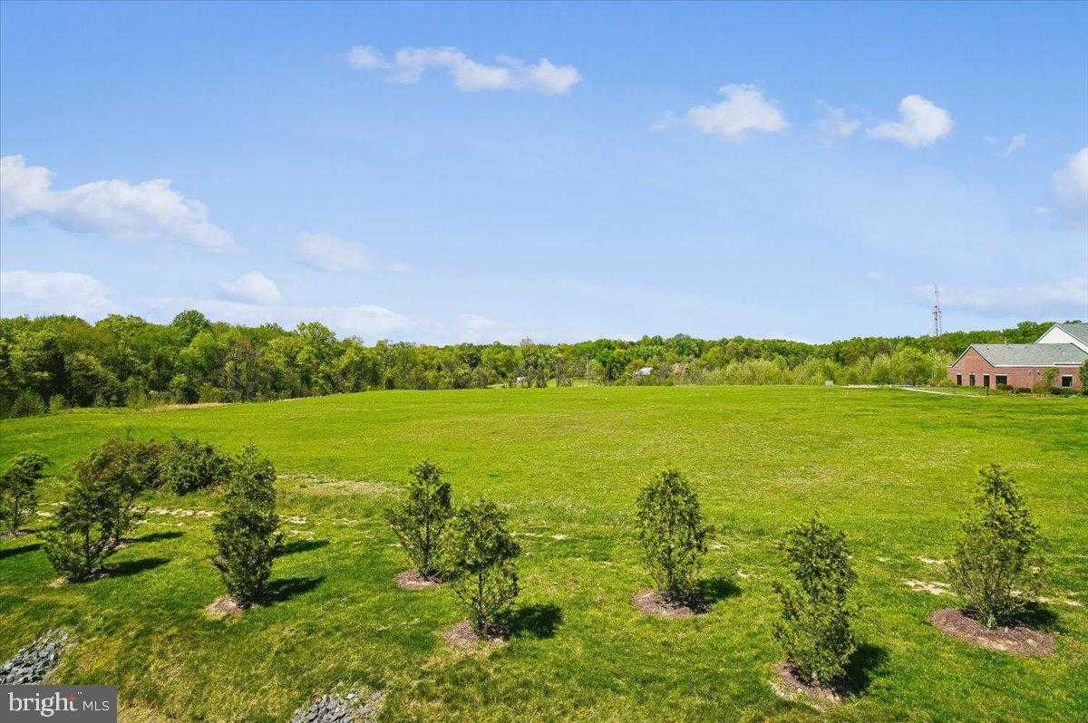 7838 Mine Run Rd photo 13