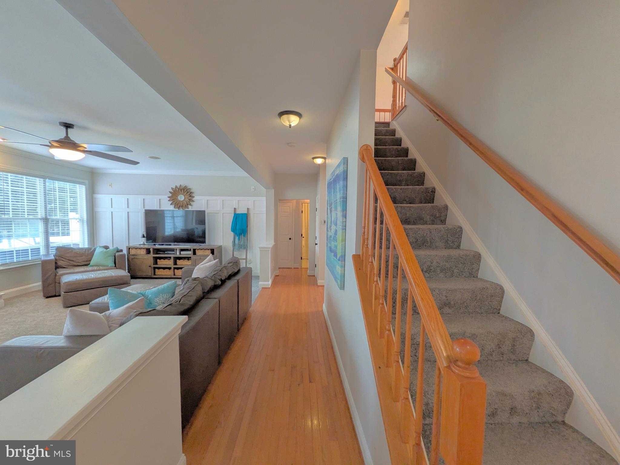 118 Dabbling CT photo 7