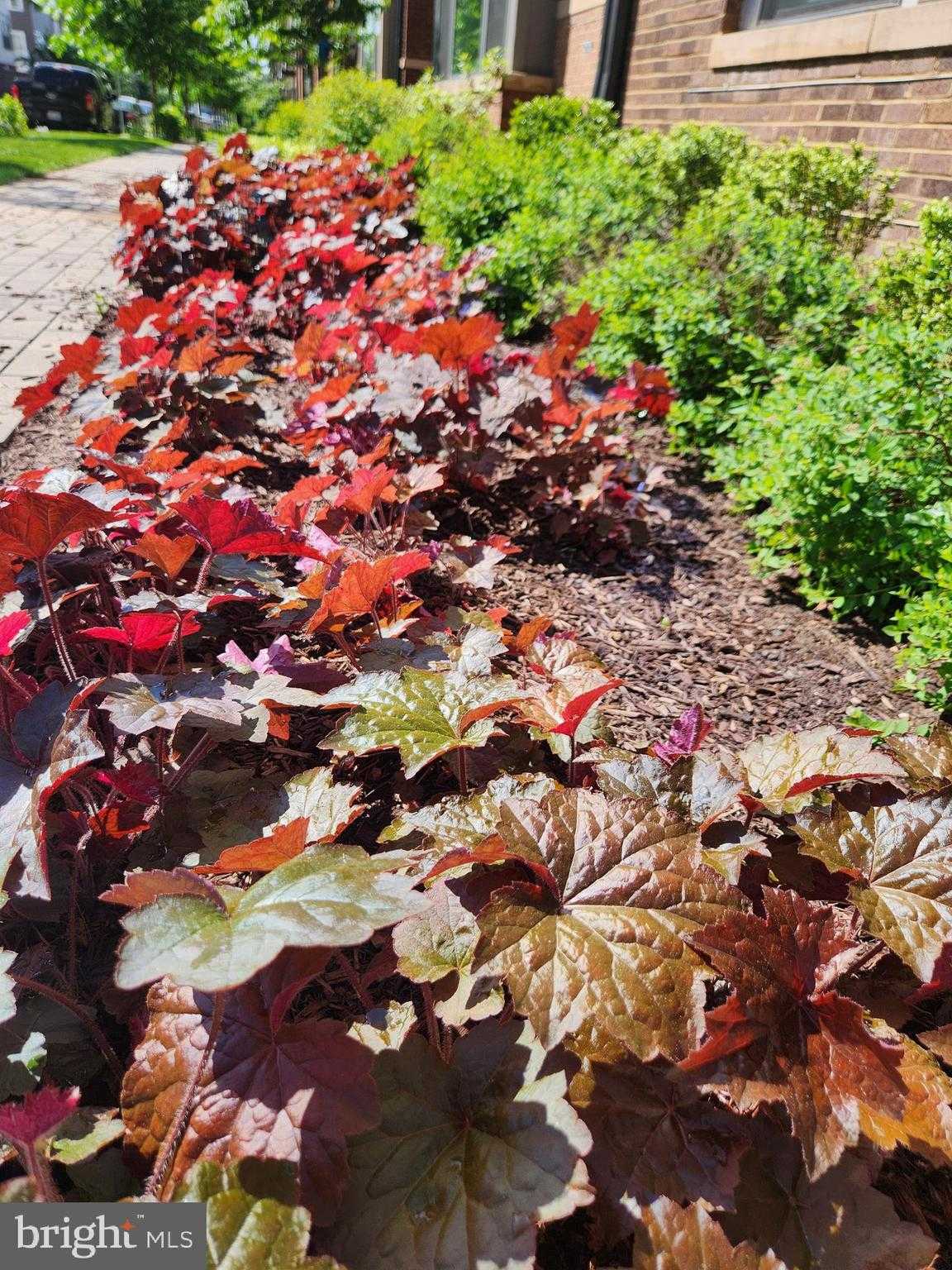 16240 Connors Way # 46 photo 46