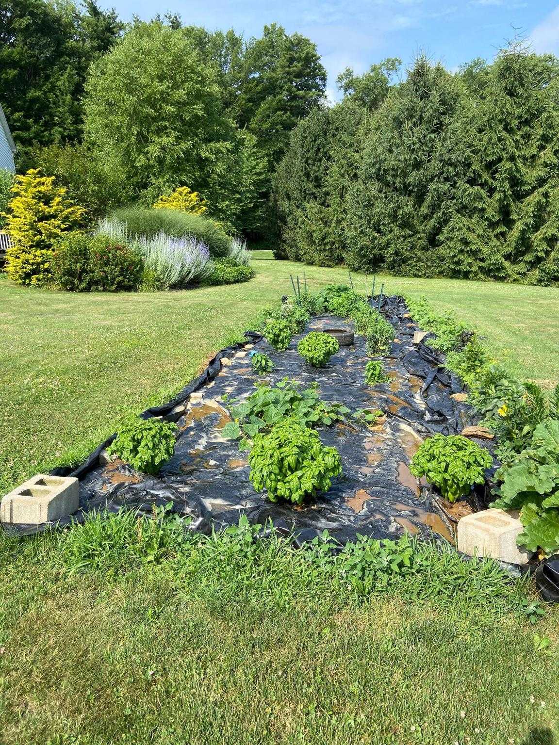 2377 Red Fox Ln photo 35