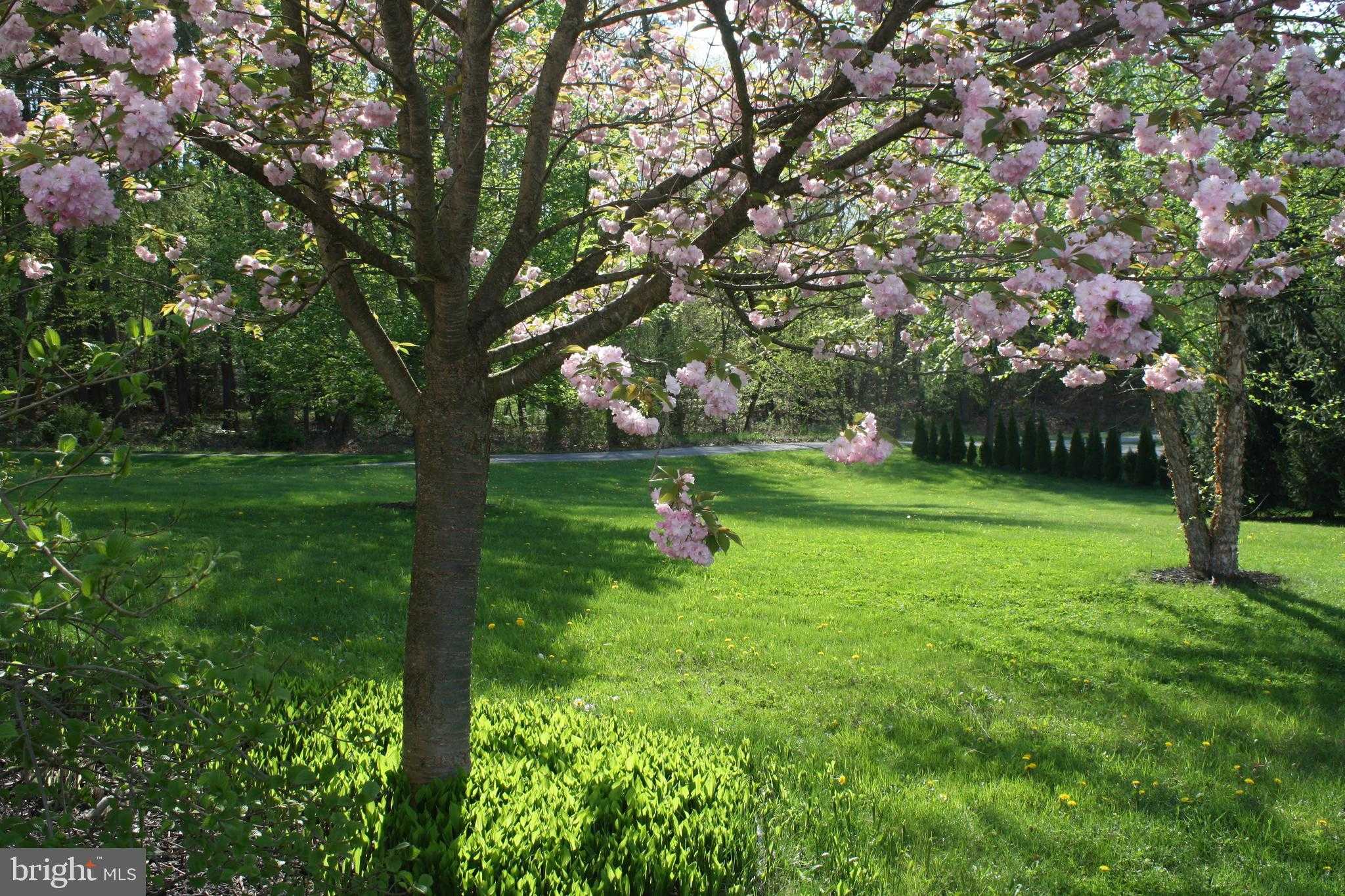 2377 Red Fox Ln photo 48