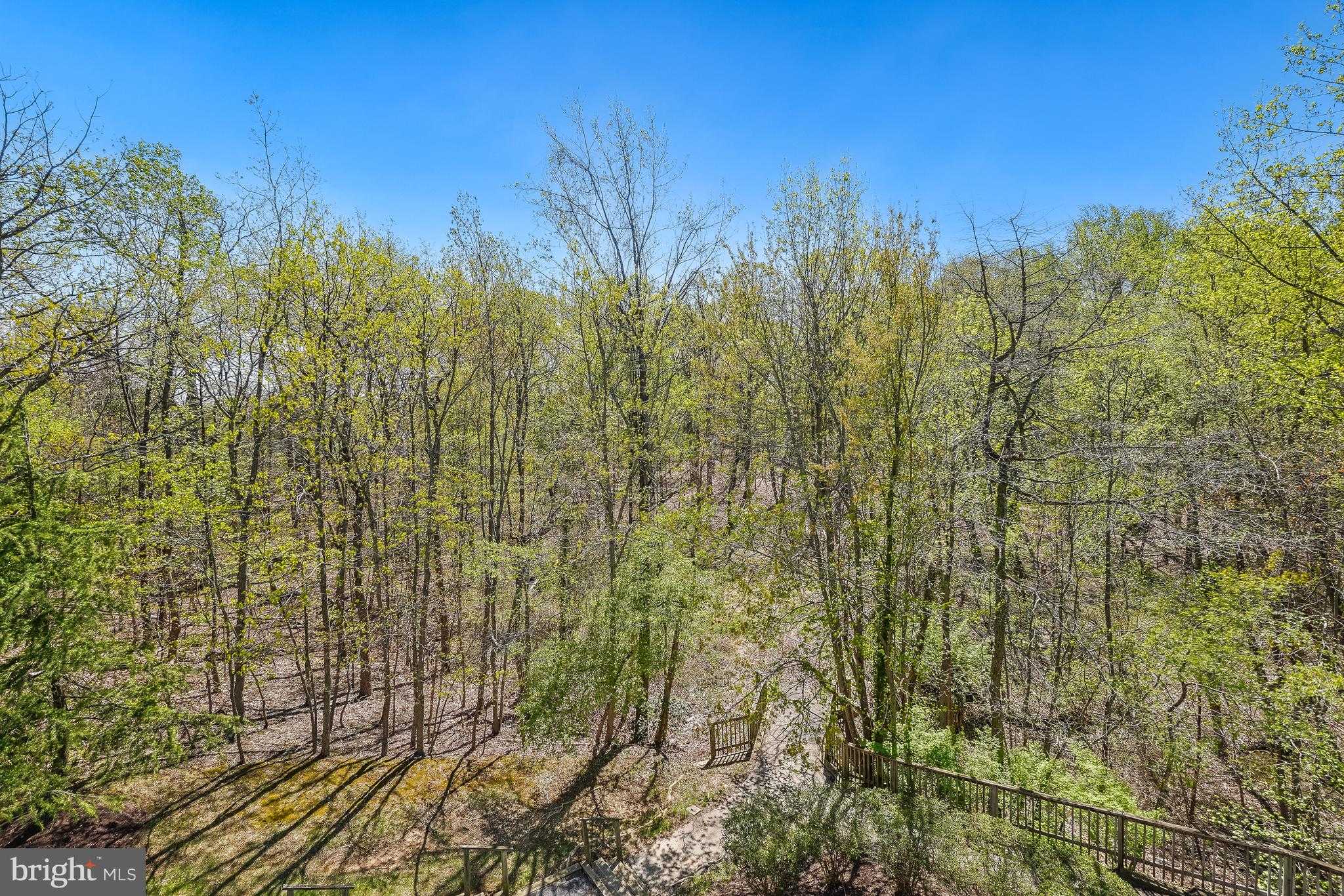 2051 Alice Ave photo 19