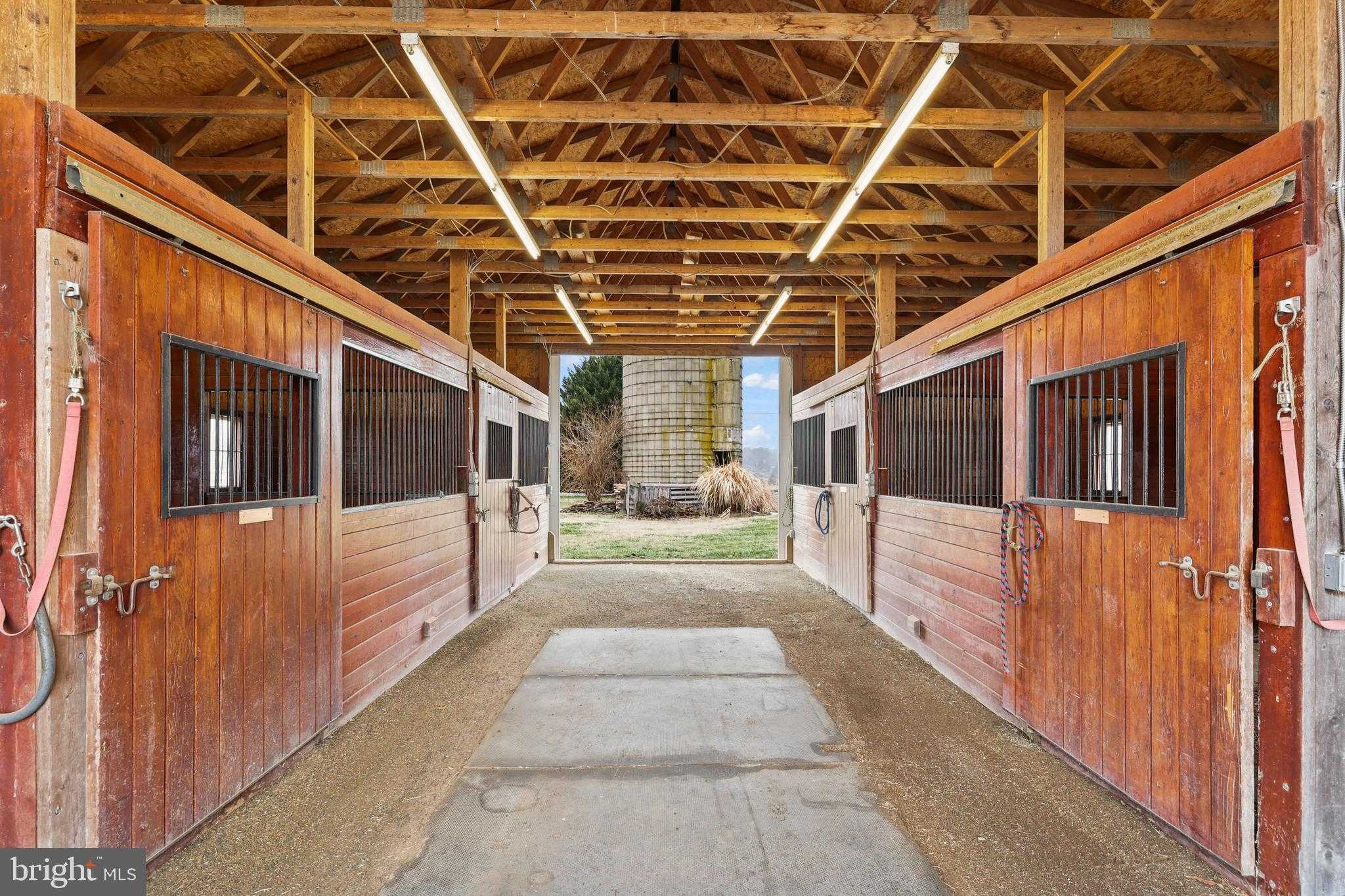 11999 Memory Ln photo 50