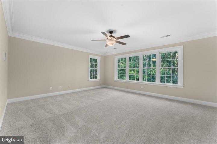 12003 Boulder CT photo 26