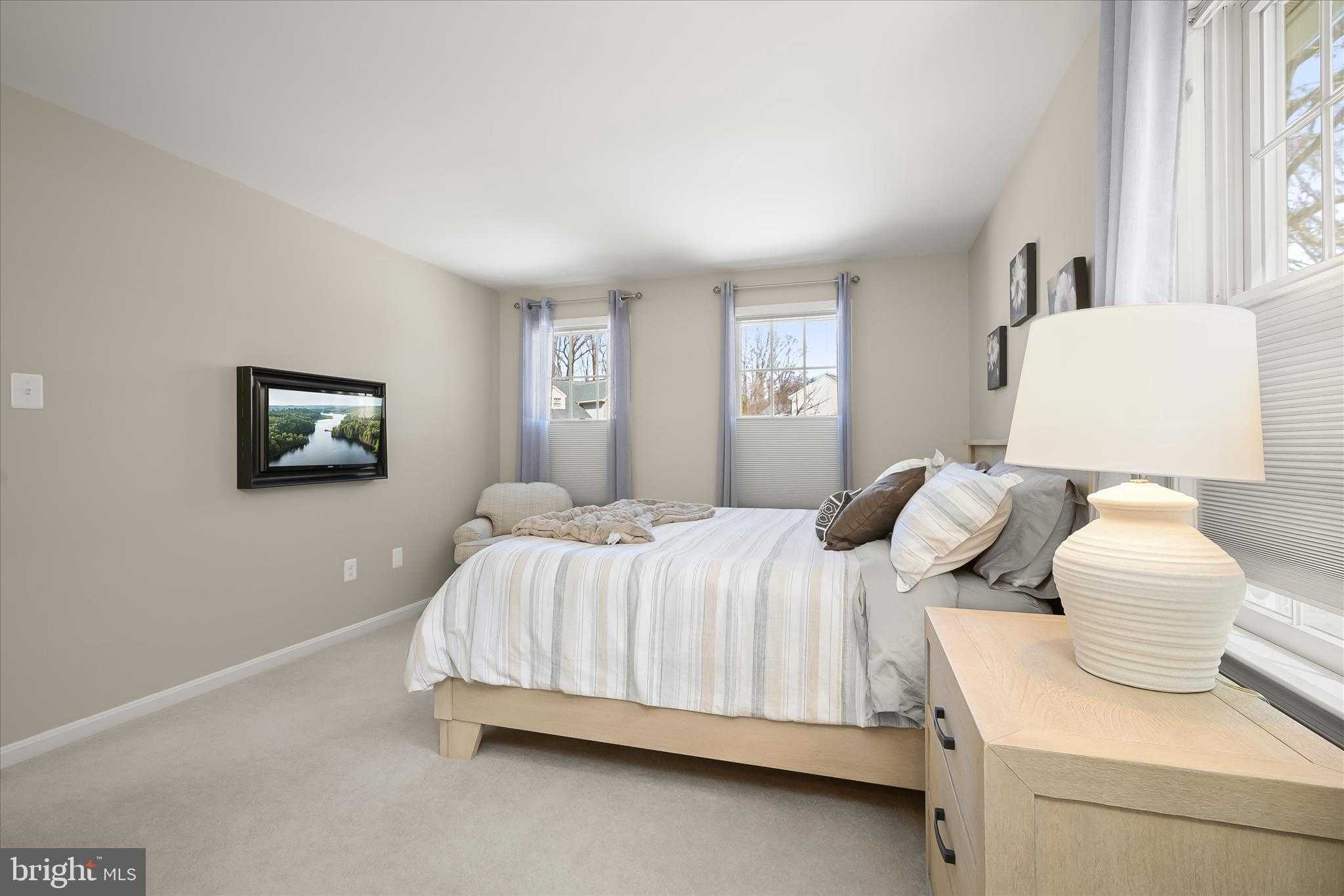 10623 Millet Seed Hl photo 42