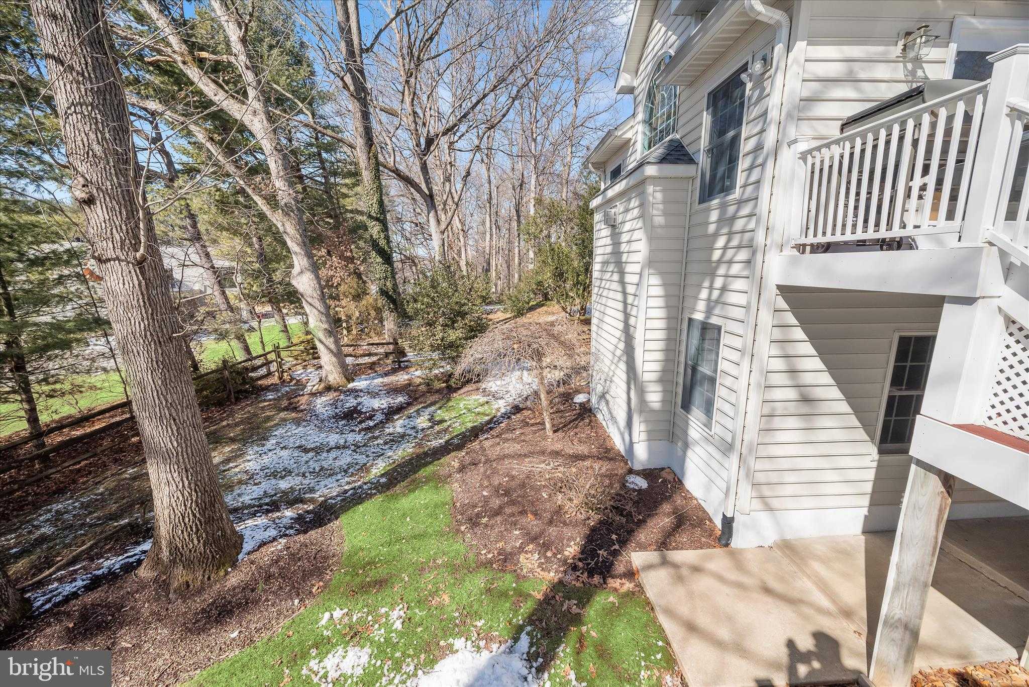 10623 Millet Seed Hl photo 74