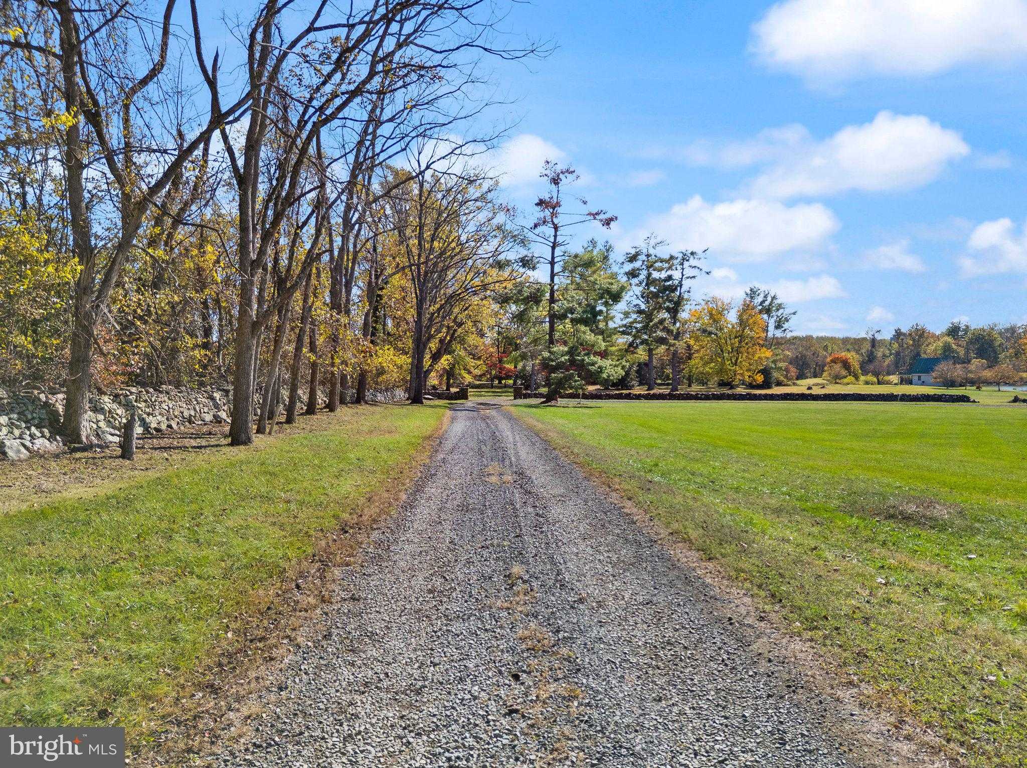 7099 Glen Curtiss Ln photo 96