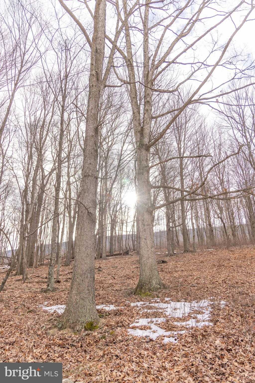 Monroe Lake Rd photo 20