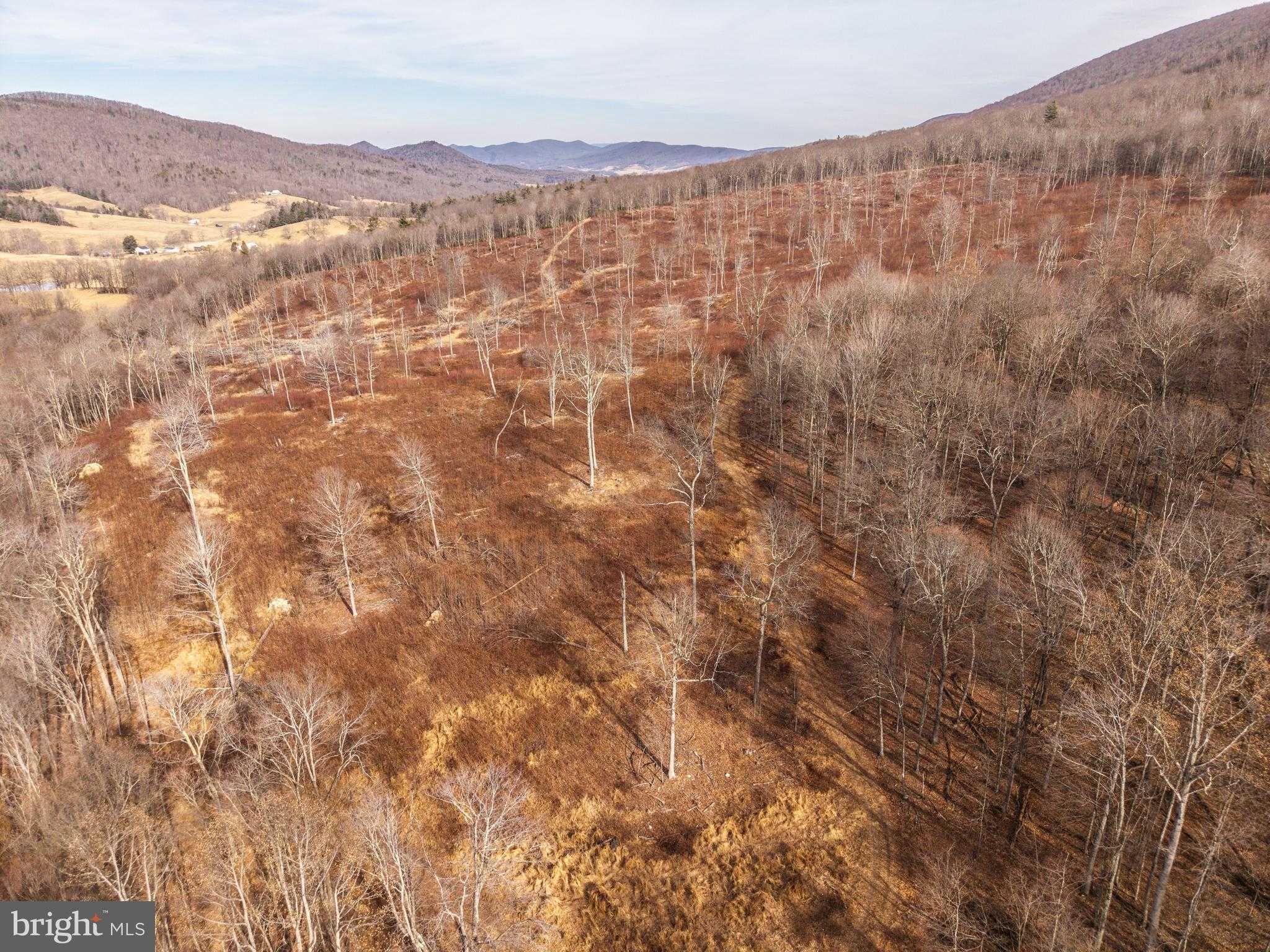 Monroe Lake Rd photo 30