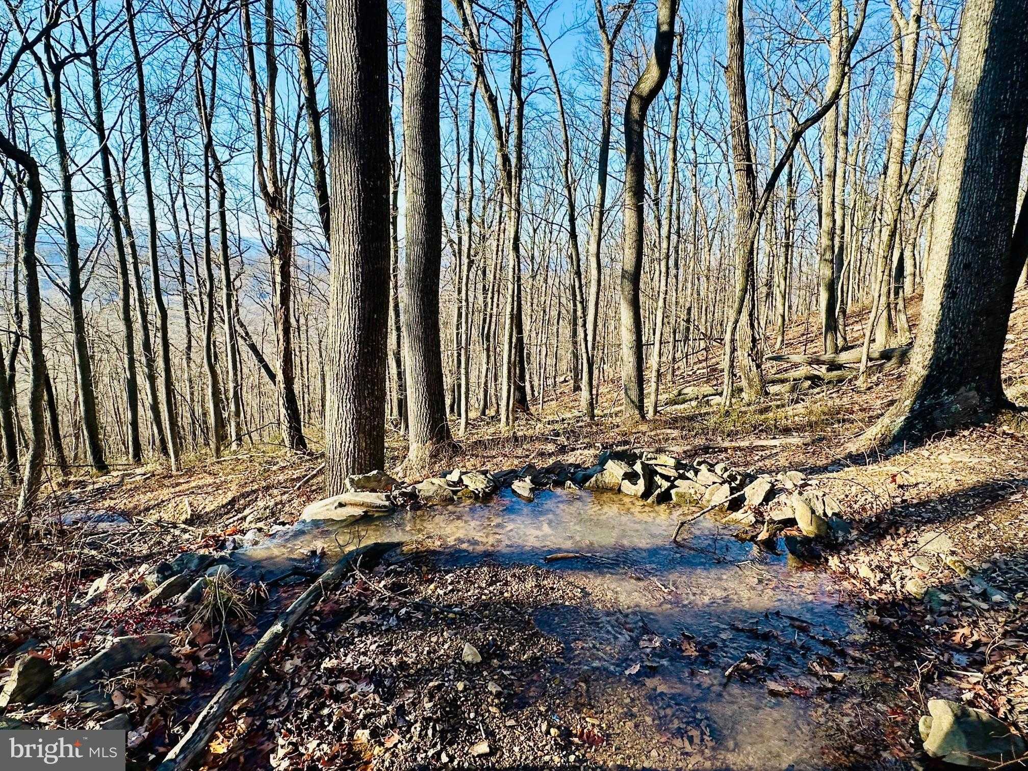 51 Lawyer Ln, Slanesville