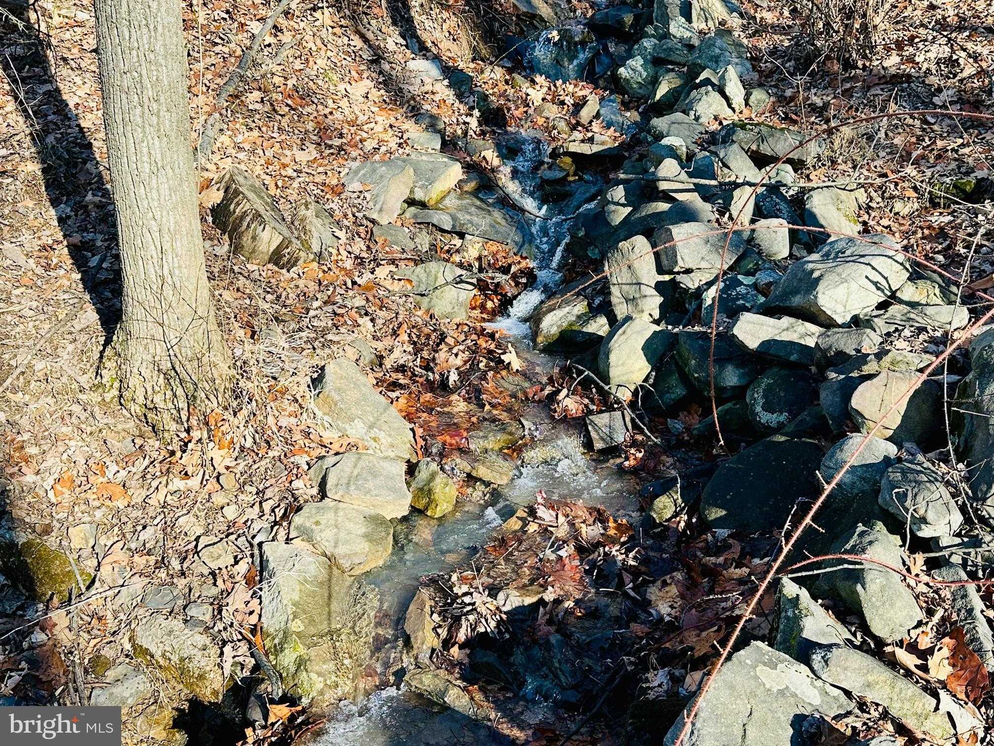 51 Lawyer Ln photo 2