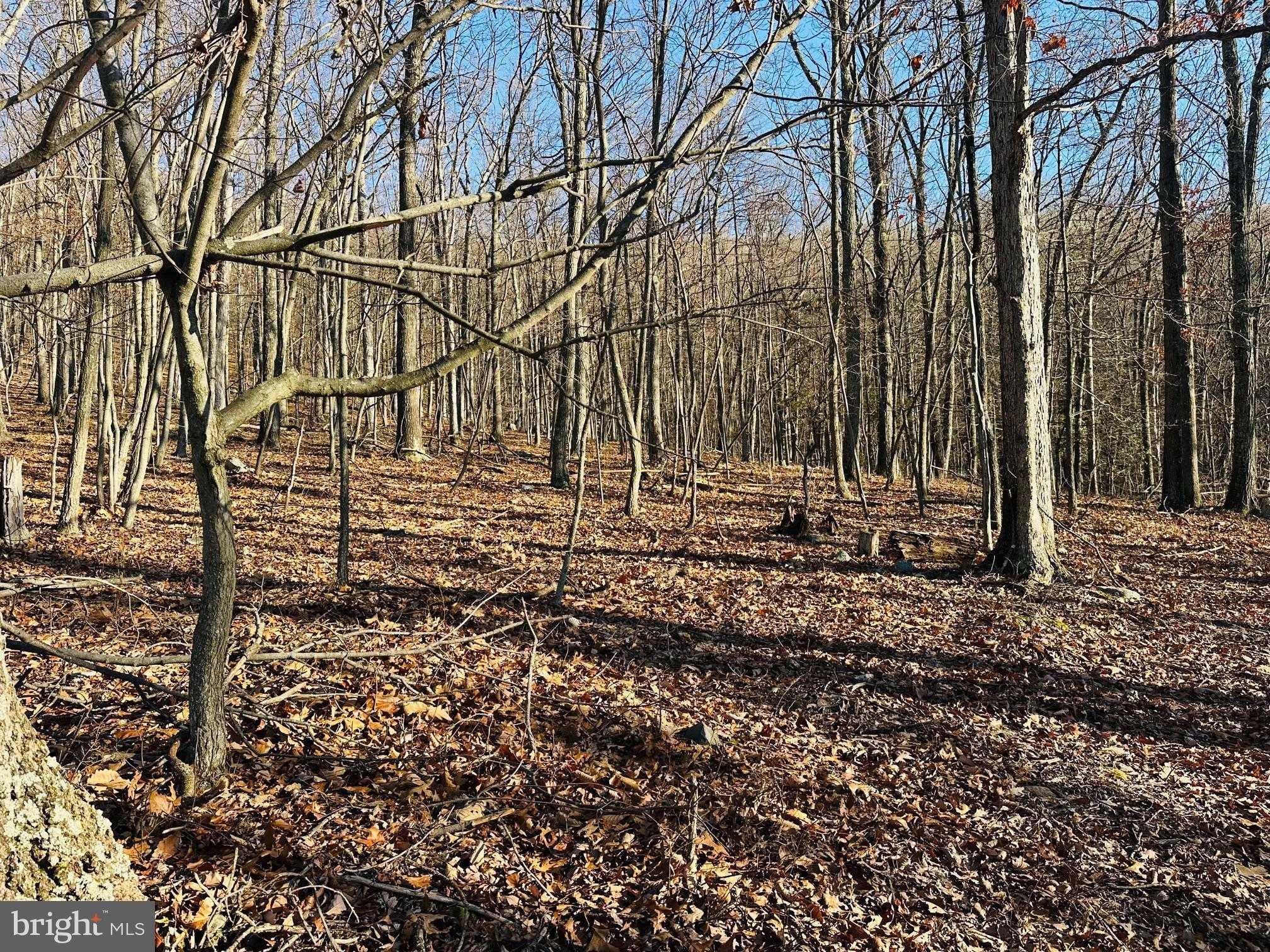 18 Butterfly Ln photo 2