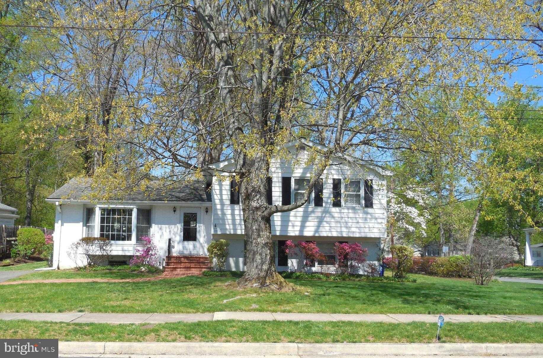 9906 Colony Rd photo 2