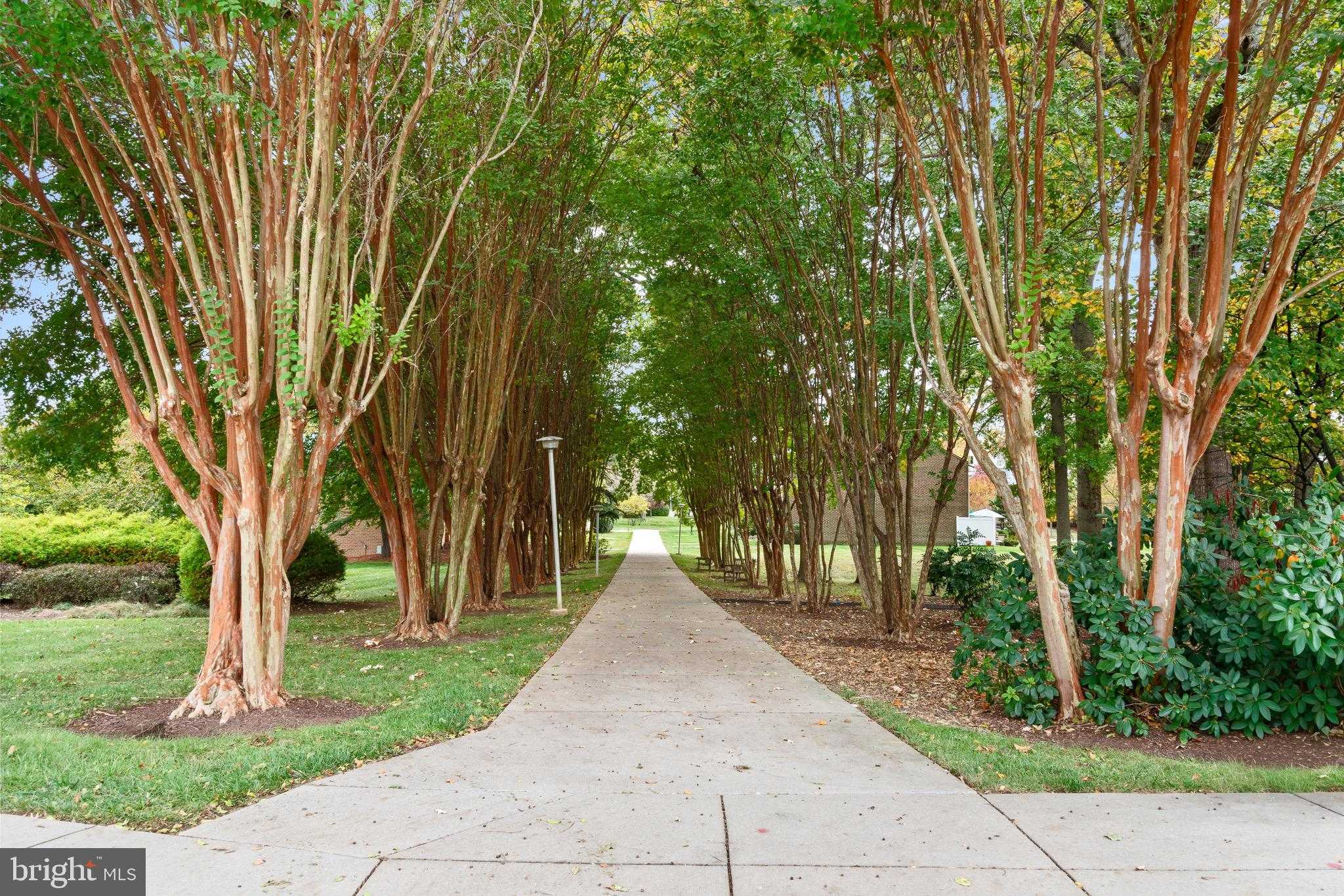 3005 S Leisure World Blvd Apt 702 photo 22