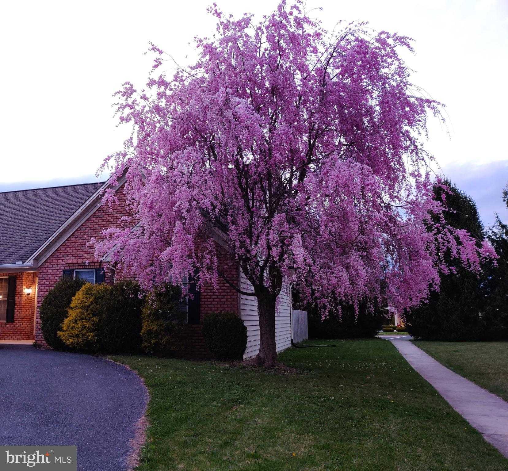 5525 Barbara Dr photo 6