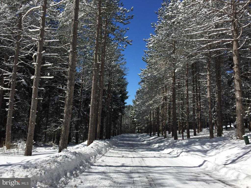 102 Piney Point Dr photo 78