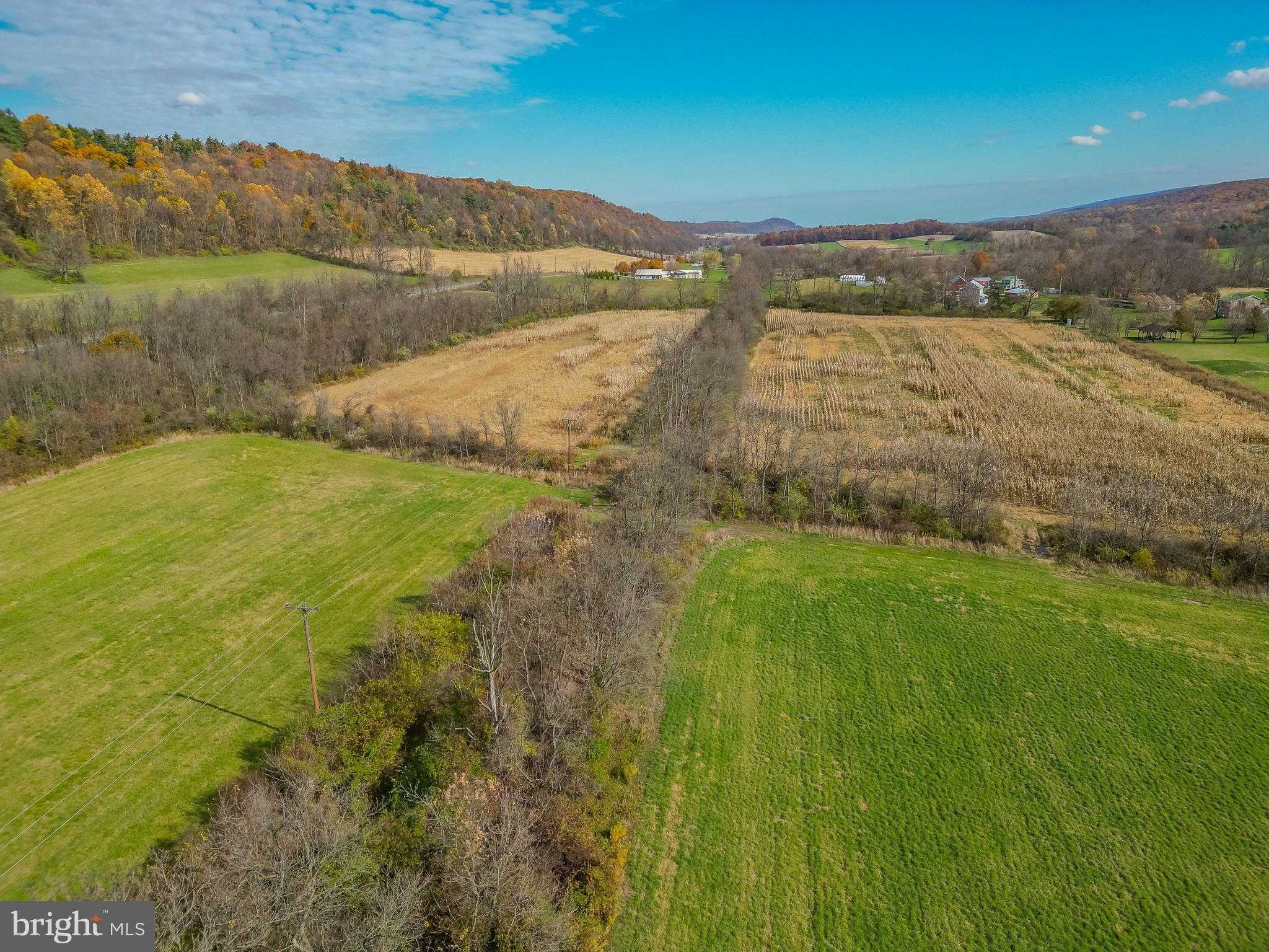 2336 Snyder Ave photo 7