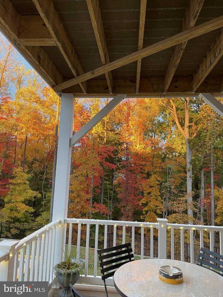 12900 Blue Sky Pl photo 4