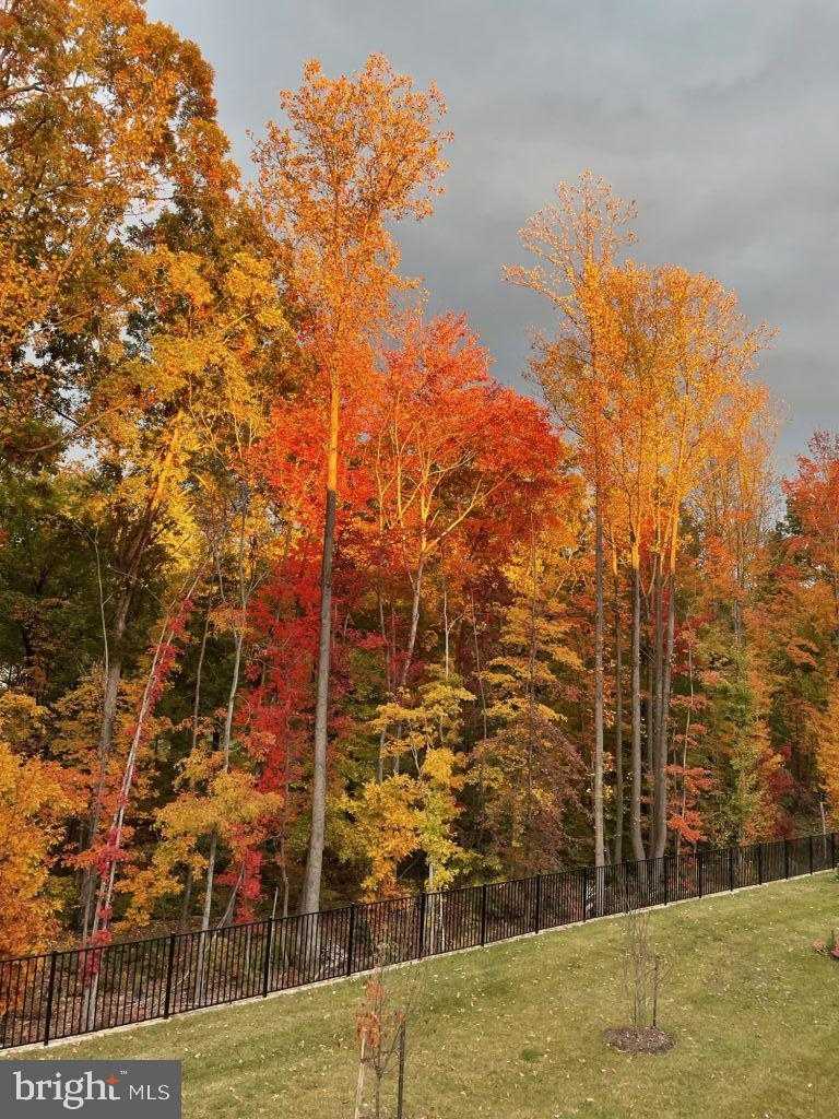 12900 Blue Sky Pl photo 5