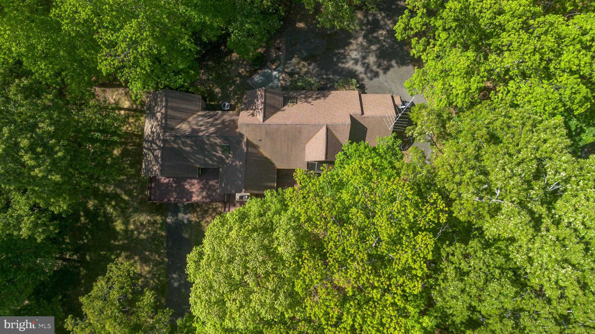 54 Tara Cir photo 89