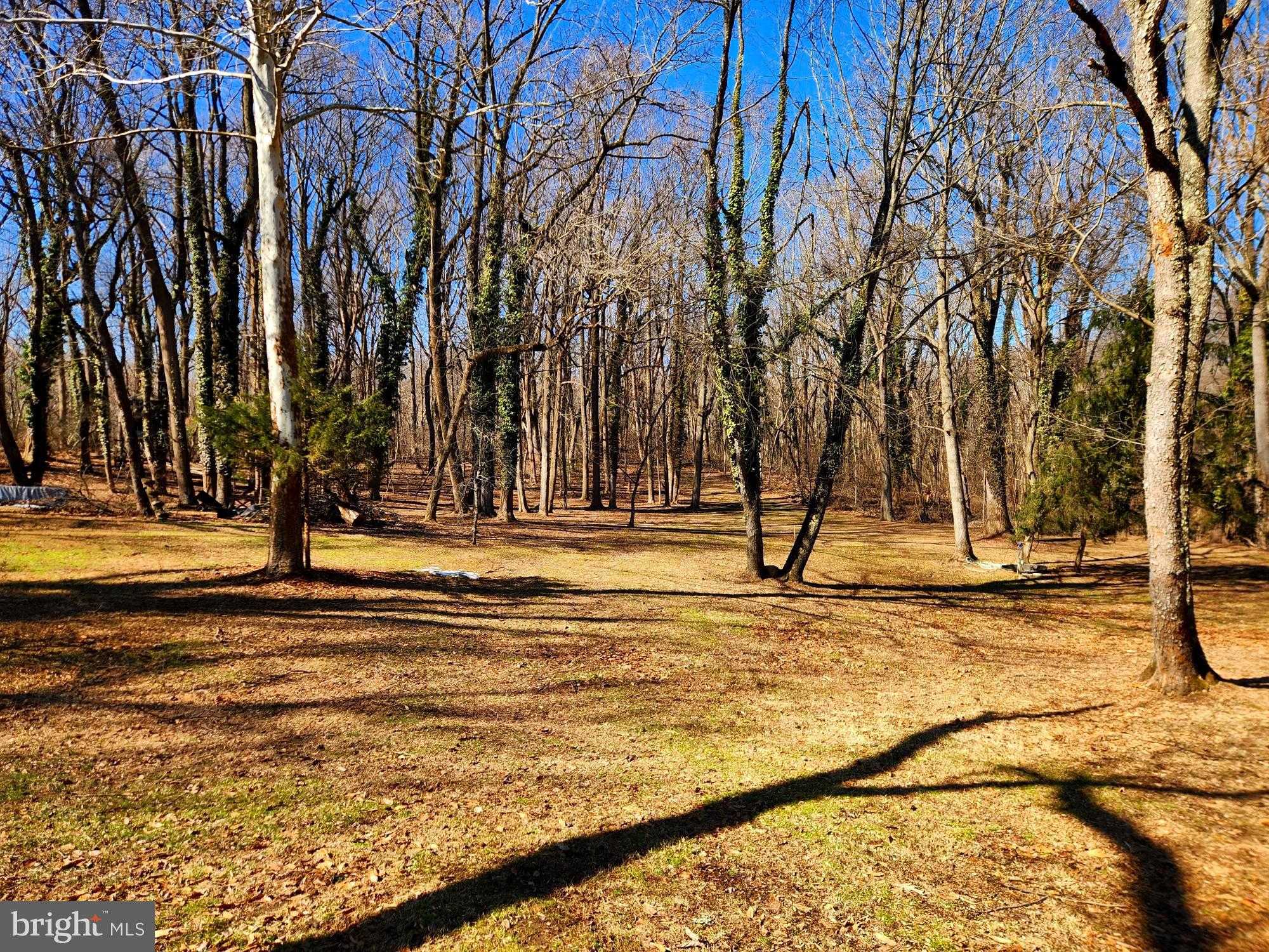 201 Ericsson Ave photo 29