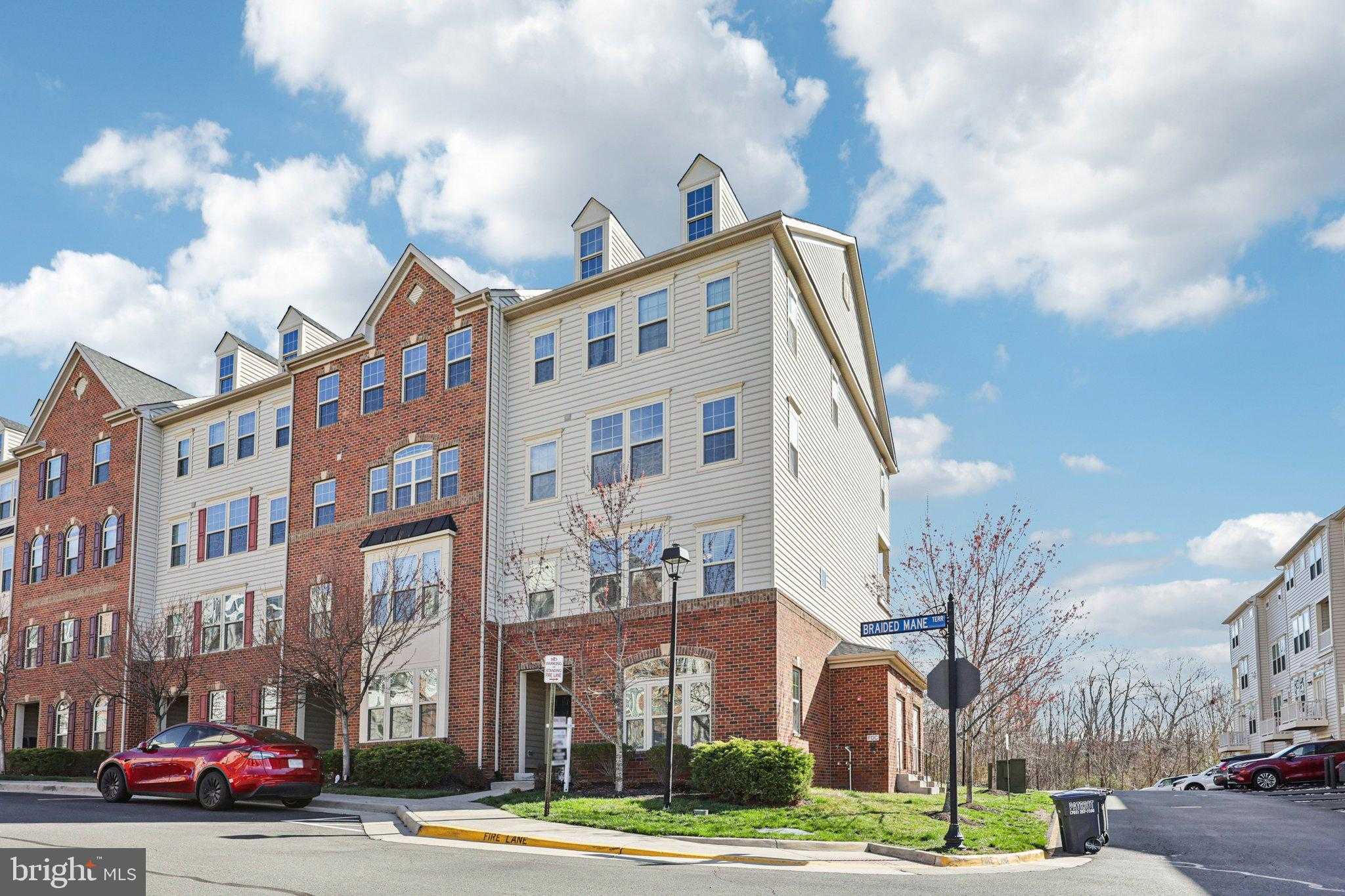 26052 Braided Mane Ter photo 2