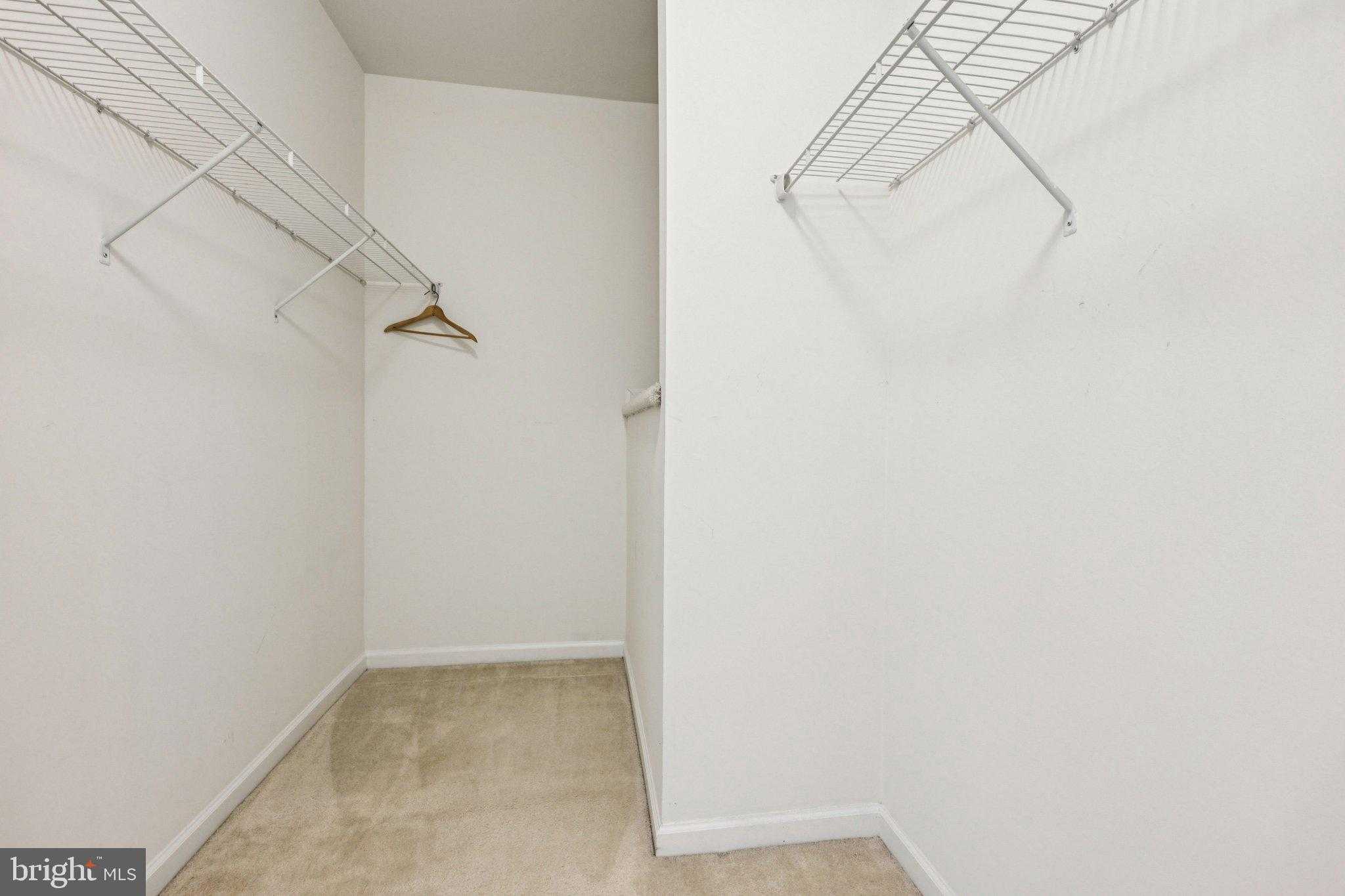 26052 Braided Mane Ter photo 22