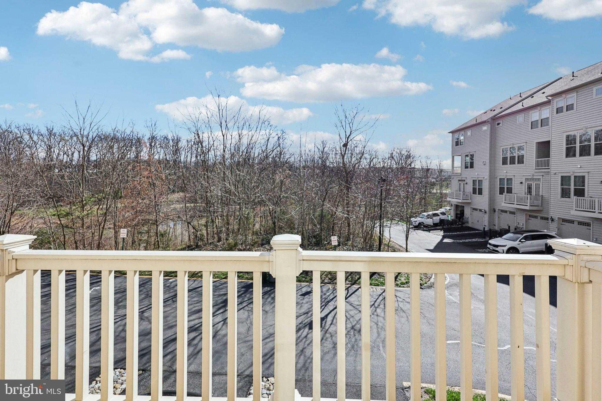 26052 Braided Mane Ter photo 30