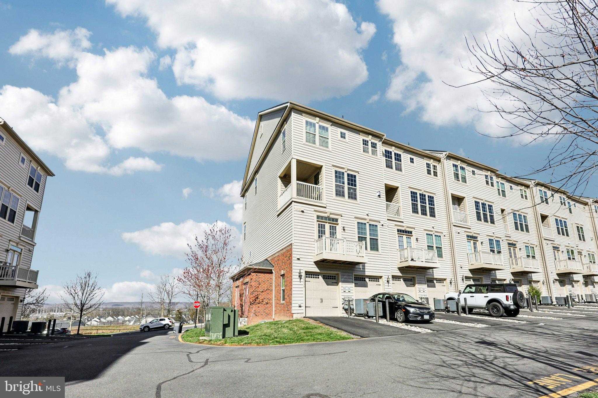 26052 Braided Mane Ter photo 32