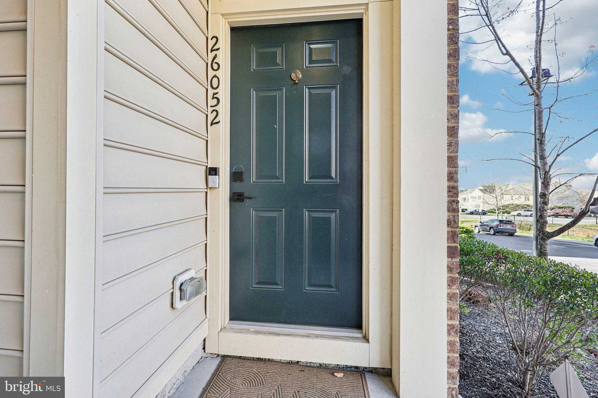 26052 Braided Mane Ter photo 4