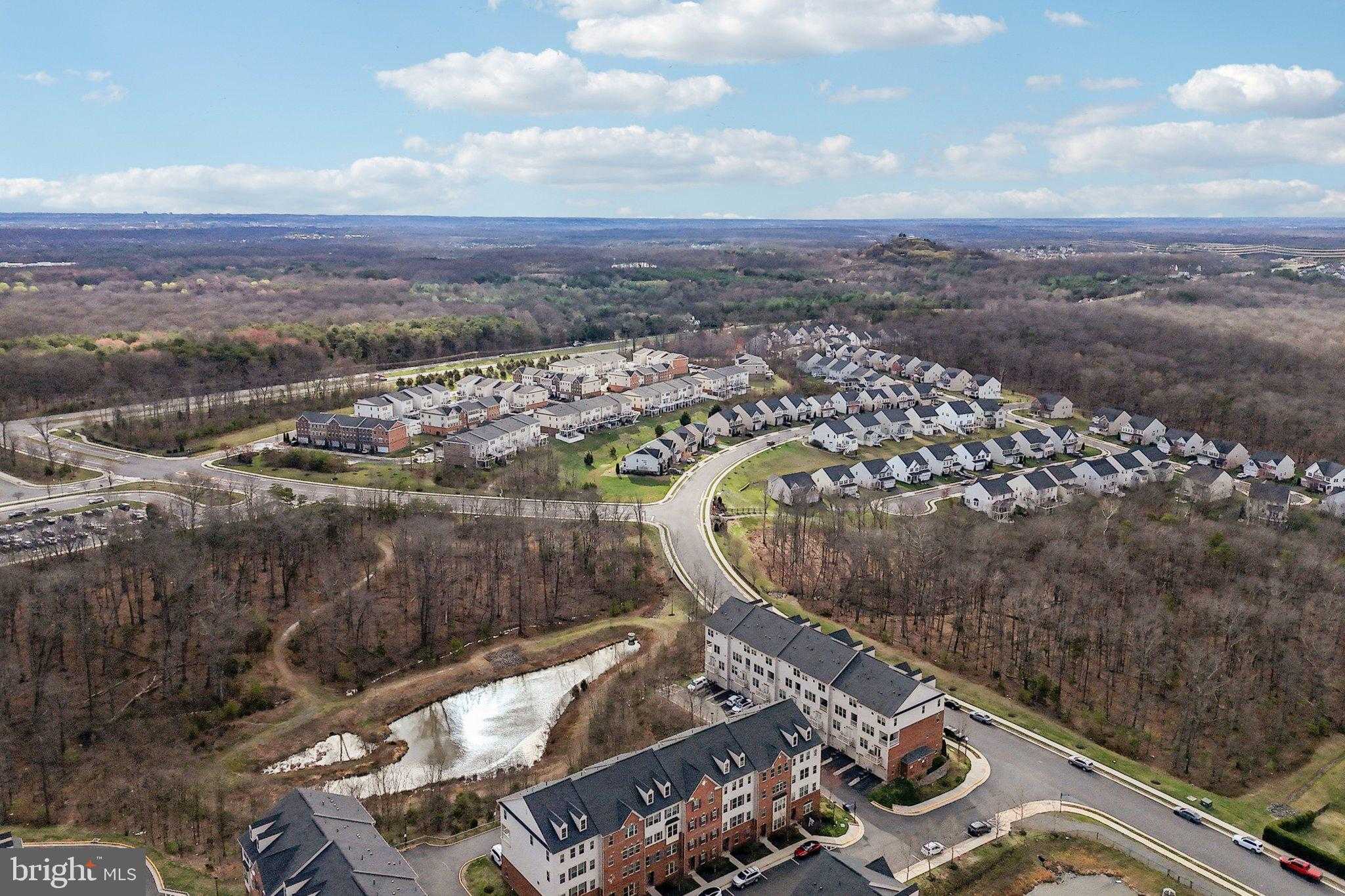 26052 Braided Mane Ter photo 42