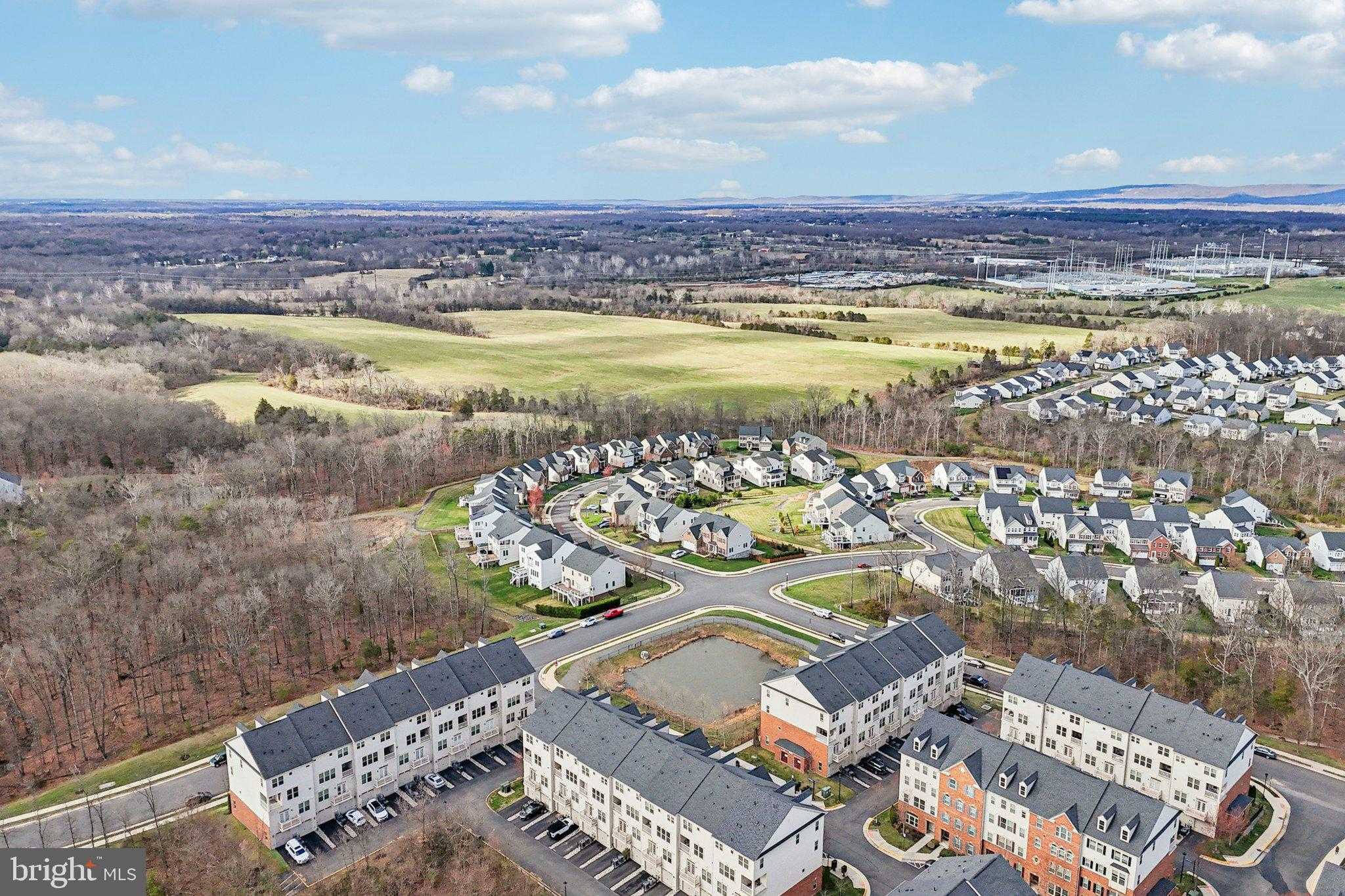 26052 Braided Mane Ter photo 43