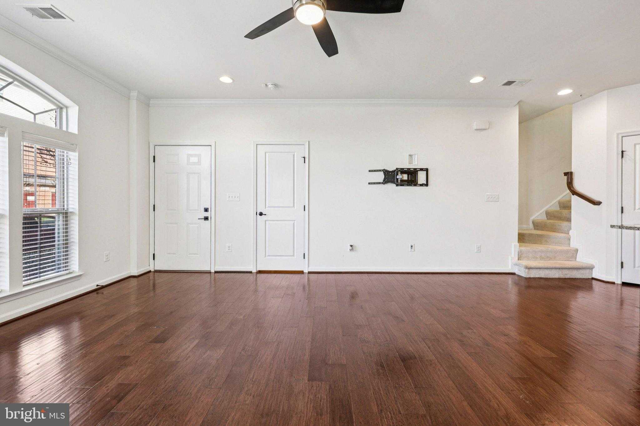 26052 Braided Mane Ter photo 9